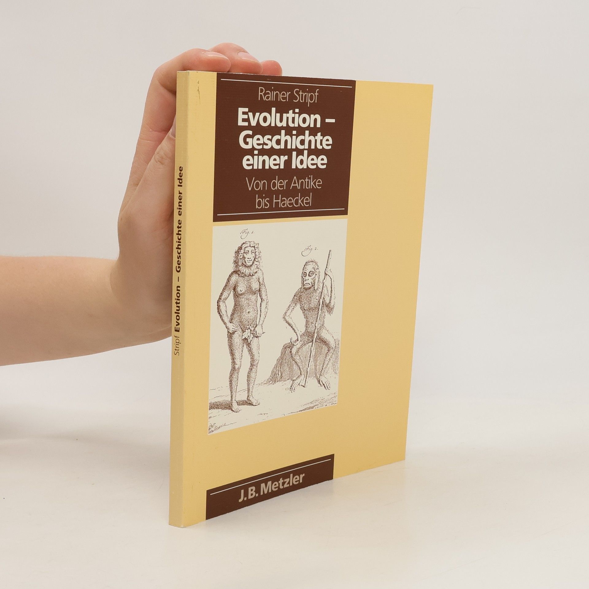 Rainer Stripf Evolution - Geschichte einer Idee