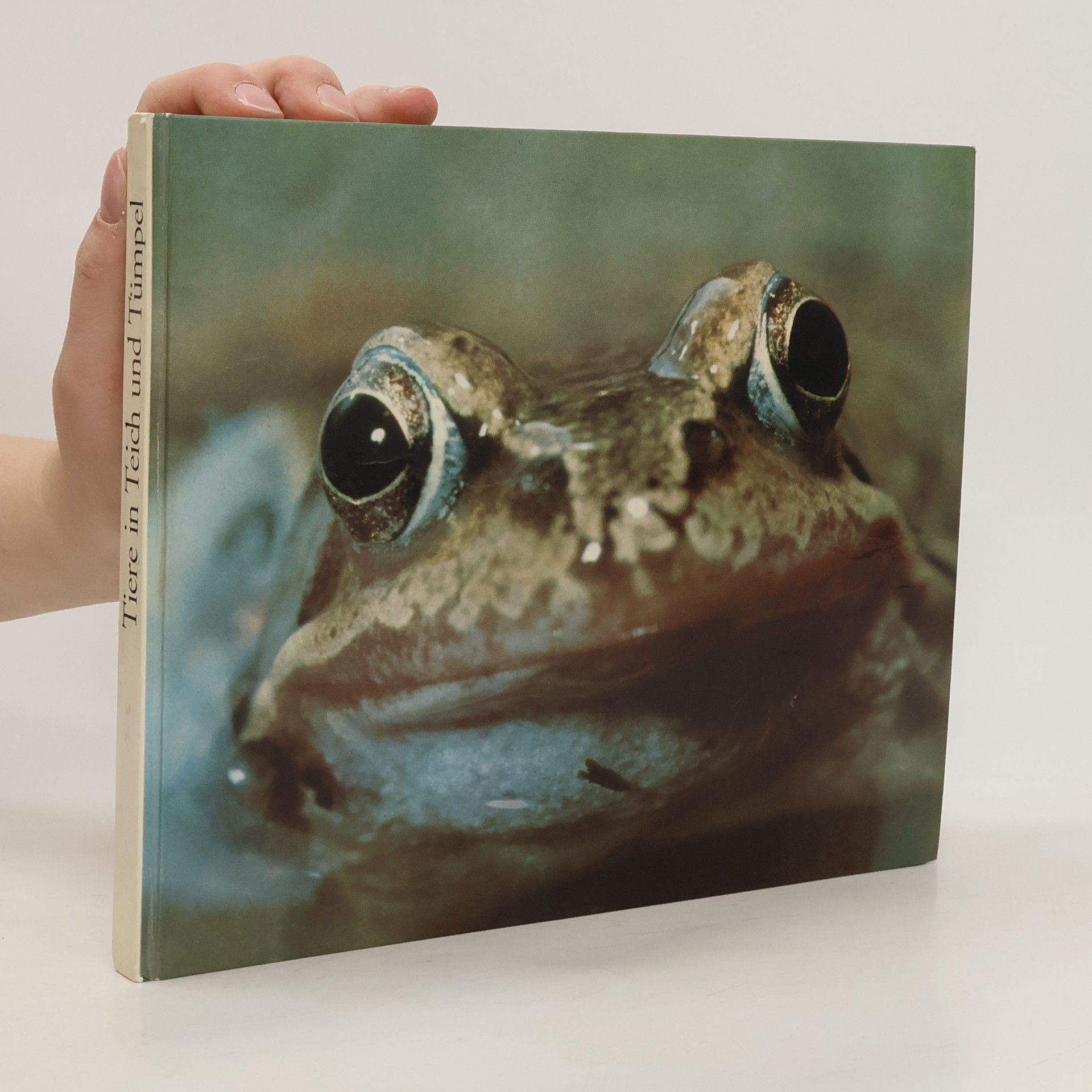Klaus Paysan Tiere in Teich und Tümpel