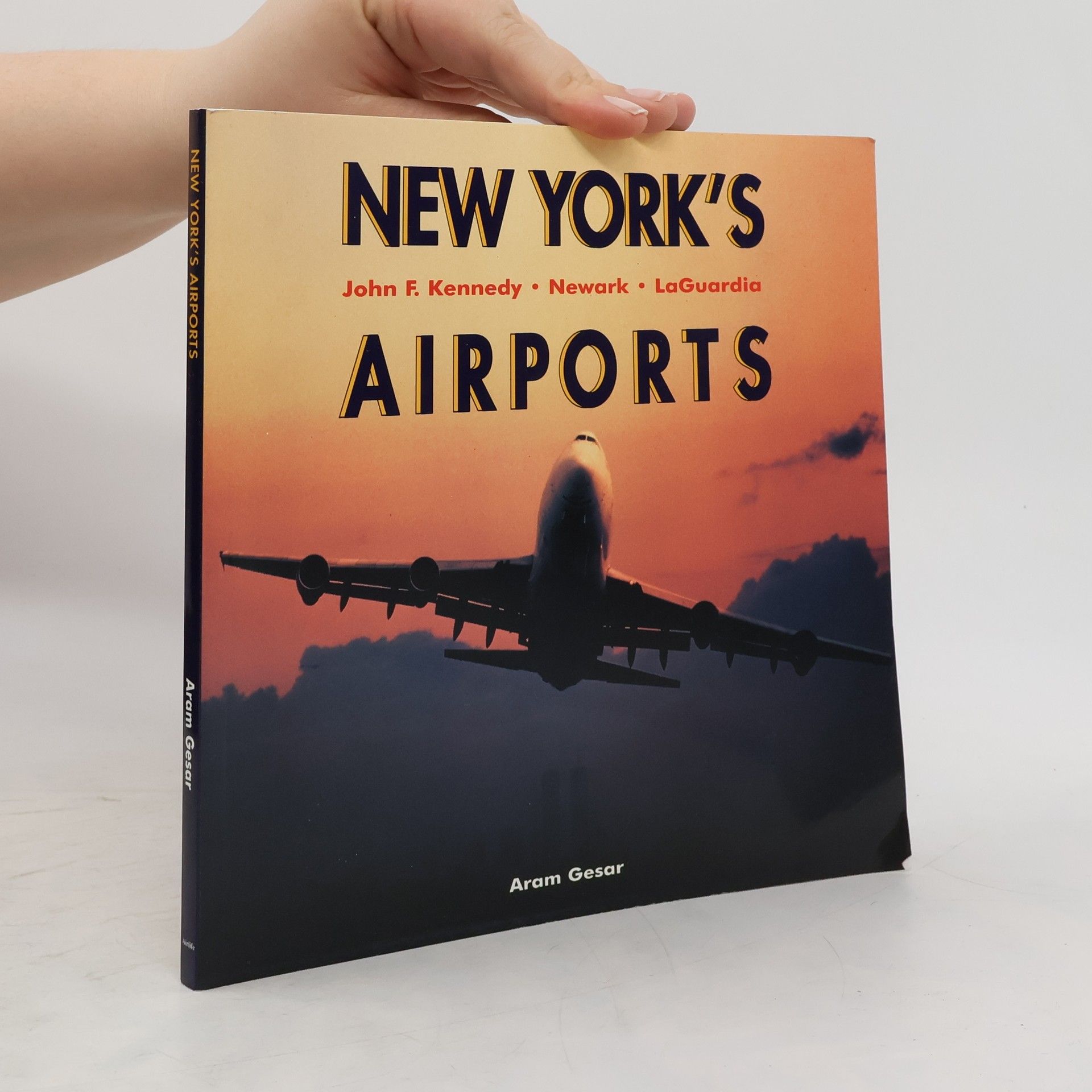 Aram Gesar New York's Airports