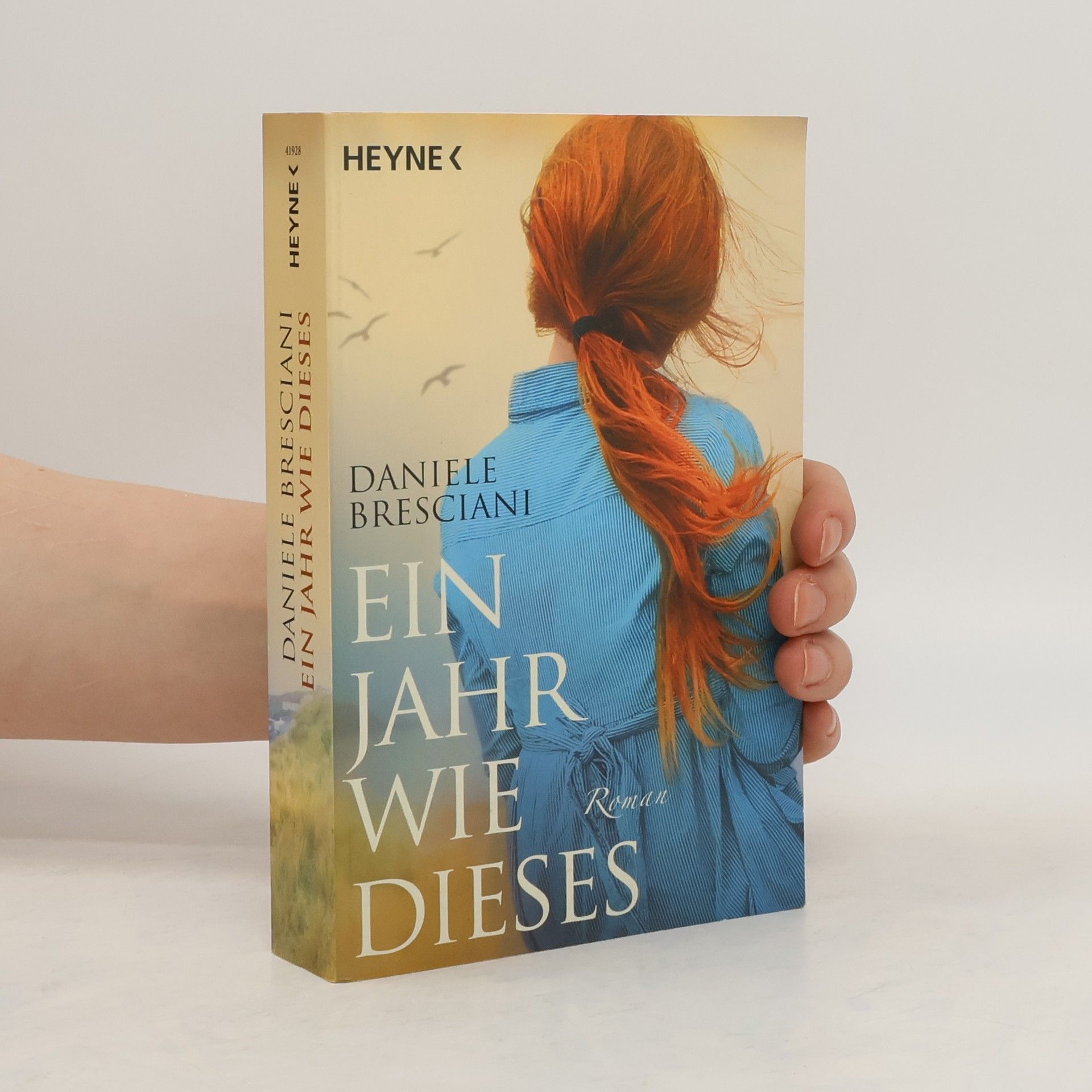 Daniele Bresciani Ein Jahr wie dieses