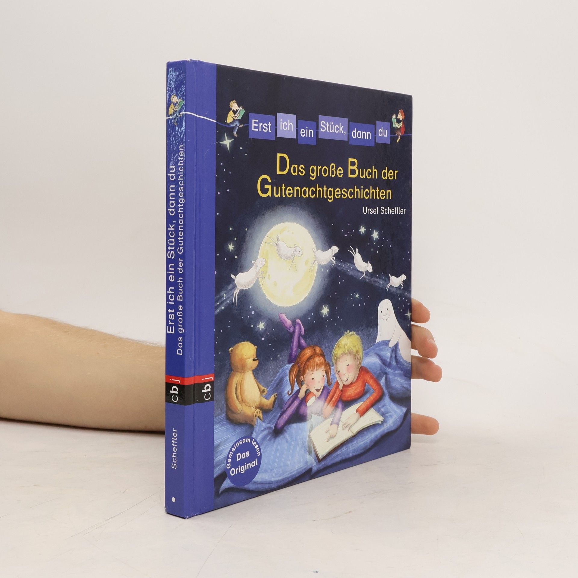 Ursel Scheffler Das große Buch der Gutenachtgeschichten