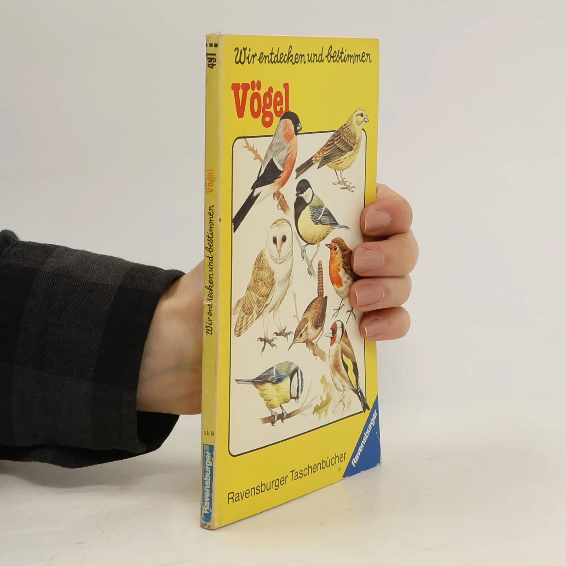 Wir entdecken und bestimmen - Vögel | Buch | Paperback | kolektiv