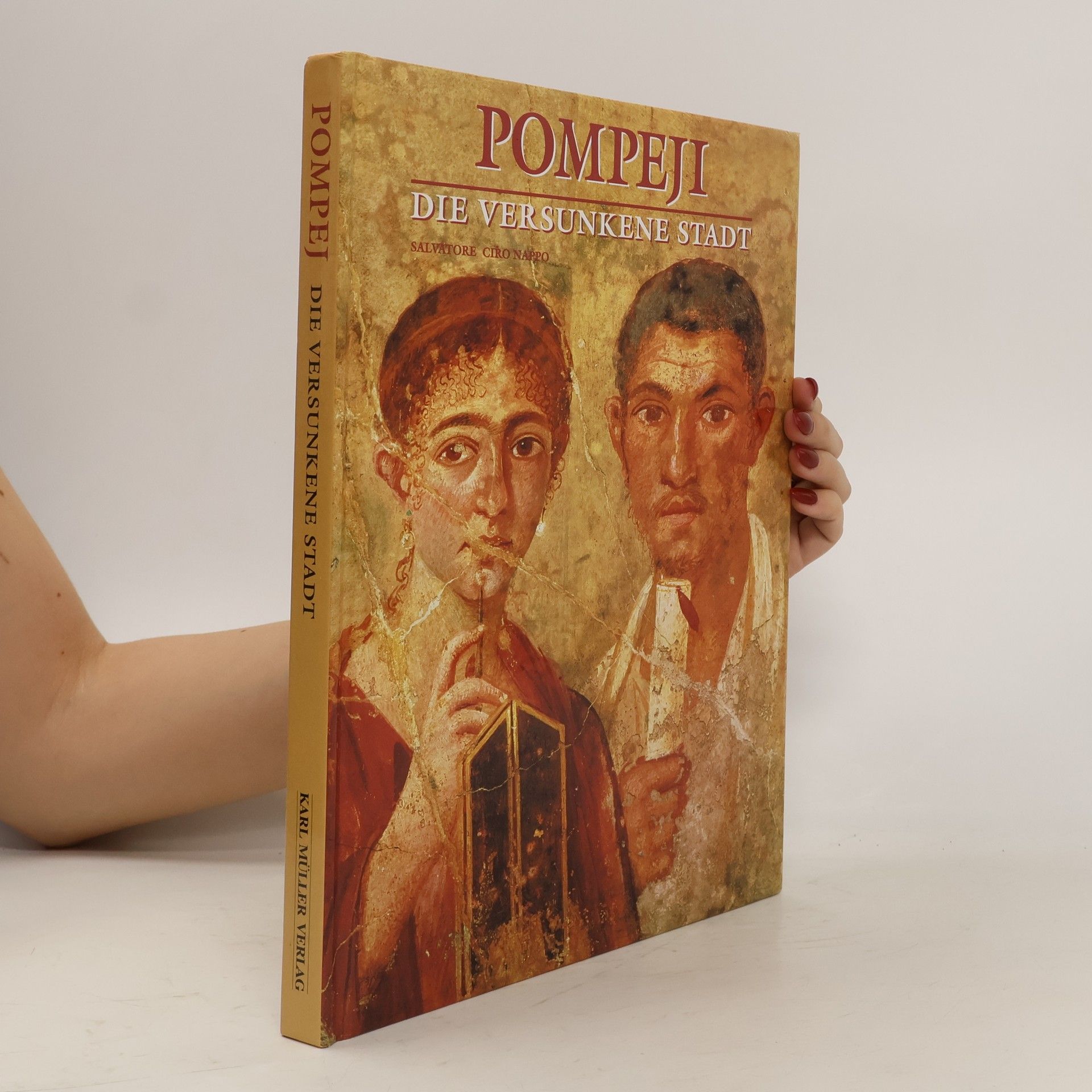 Karl Müller Verlag Pompeji: Die versunkene Stadt