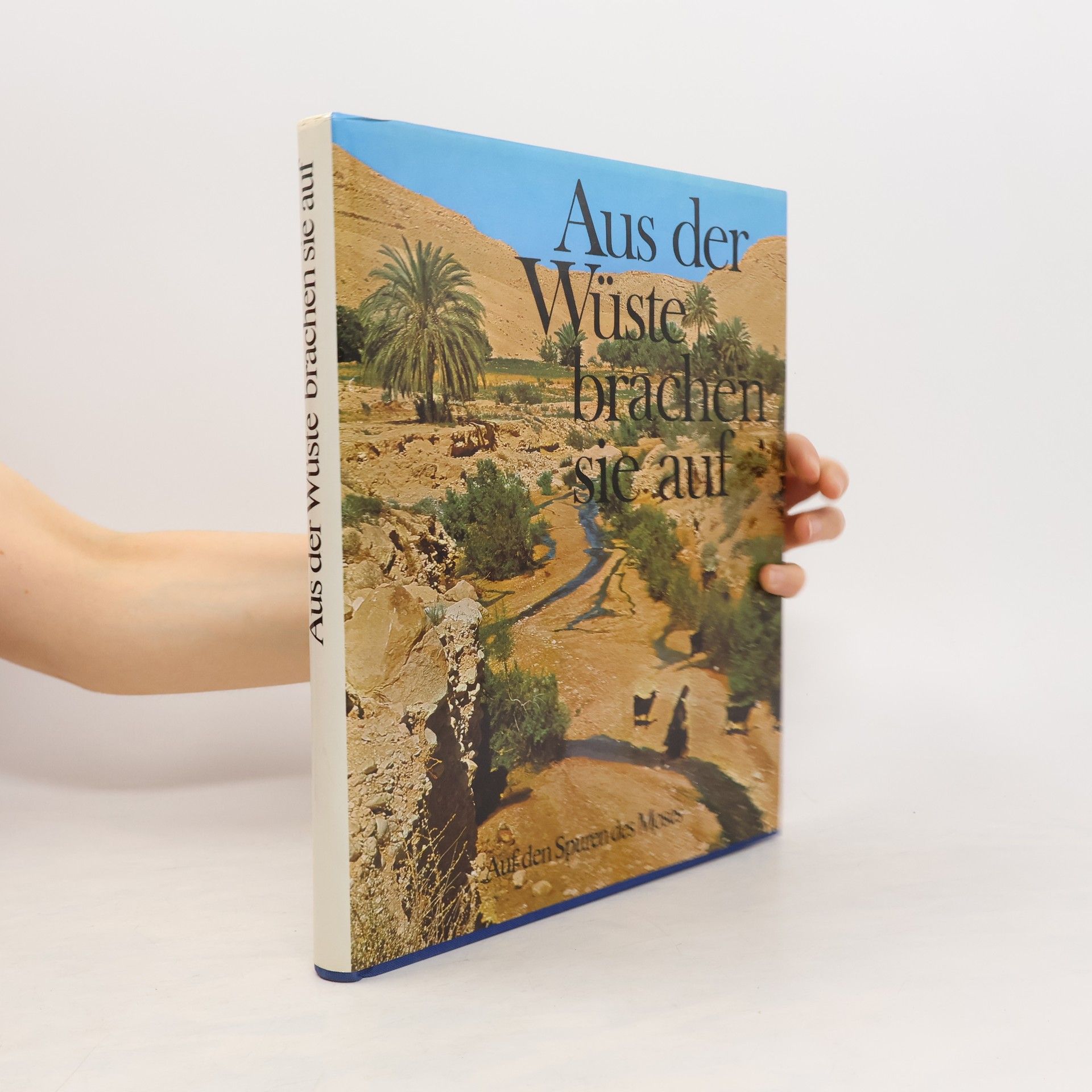 David Harris Aus der Wüste brachen sie auf