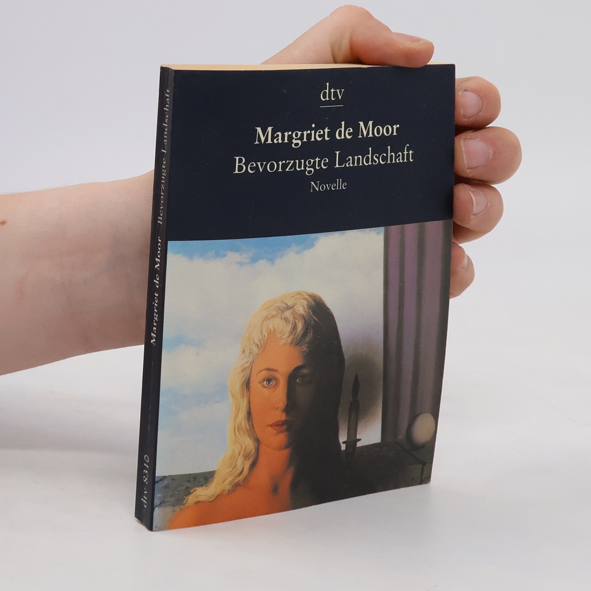 Margriet de Moor Bevorzugte Landschaft