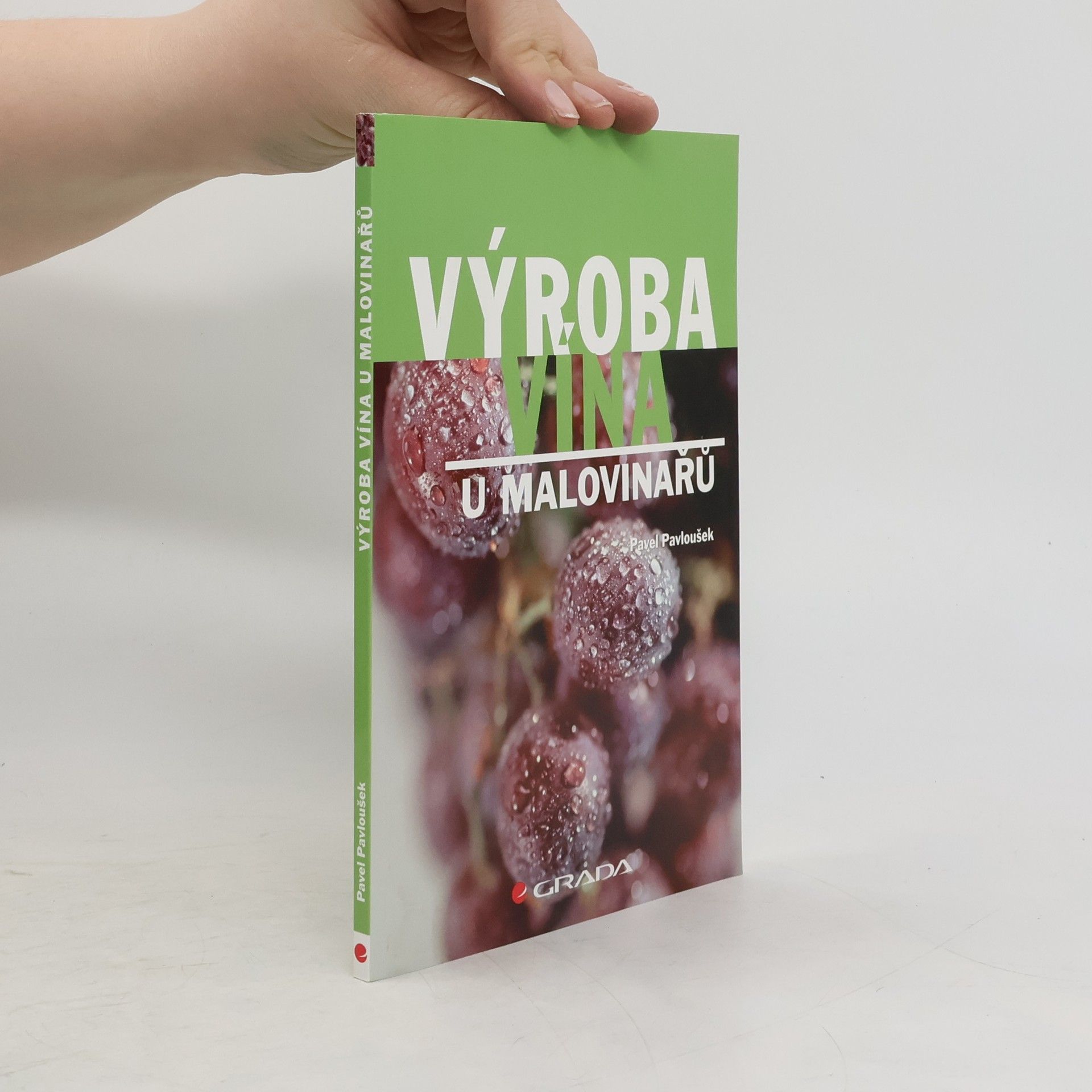 Pavel Pavloušek Výroba vína u malovinařů