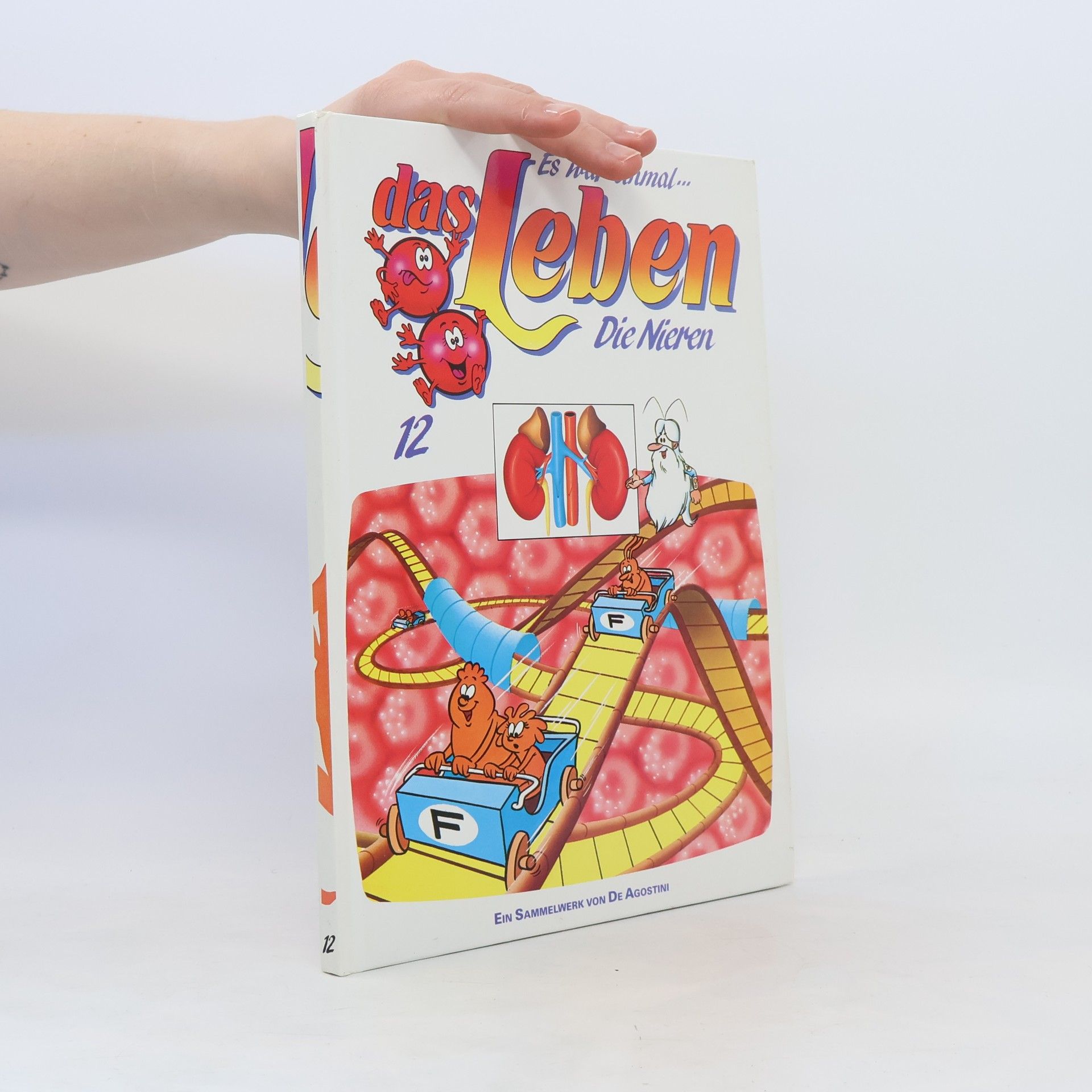 Autorenkollektiv Es war einmal... das Leben 12. Die Nieren