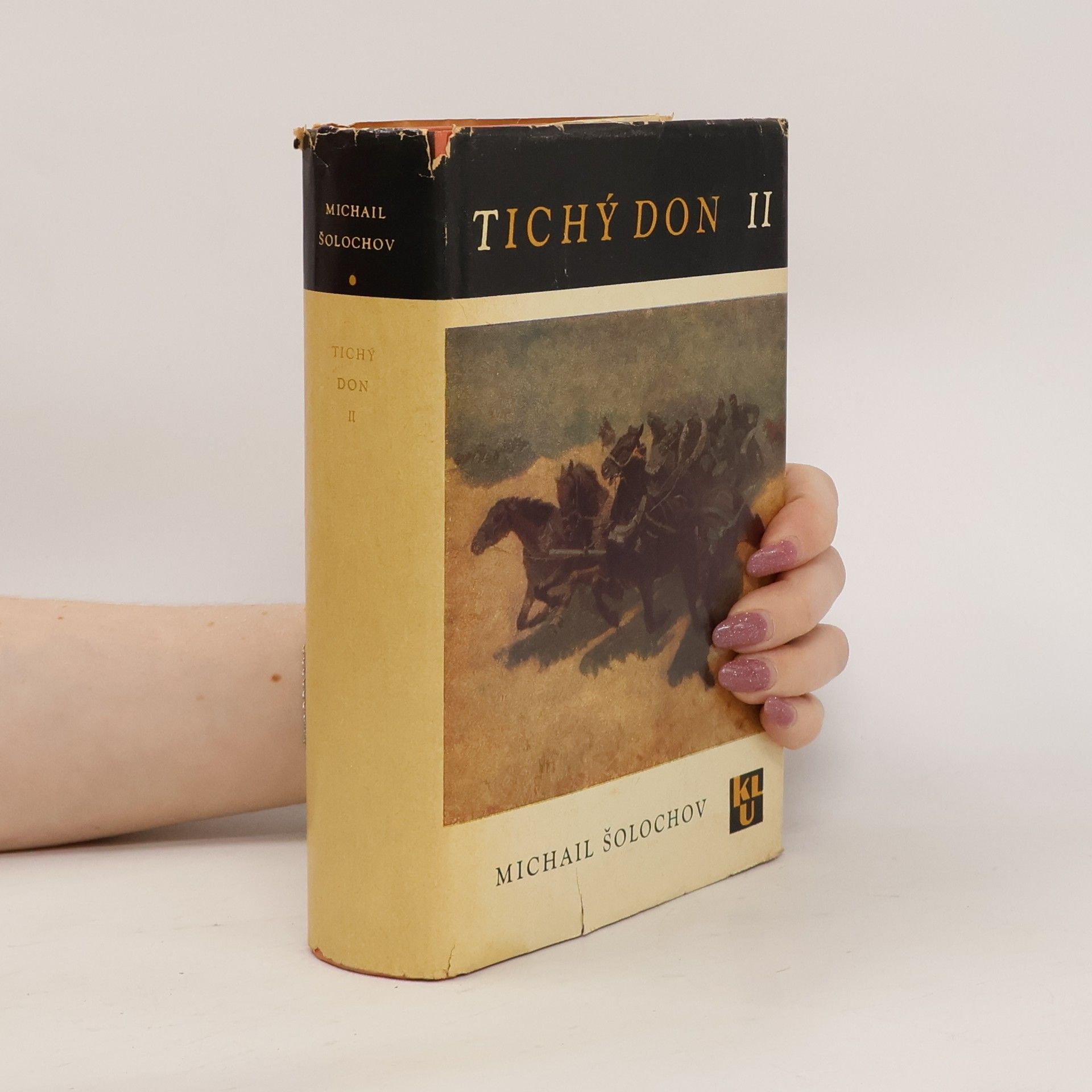 Michail Aleksandrovič Šolochov Tichý Don II.