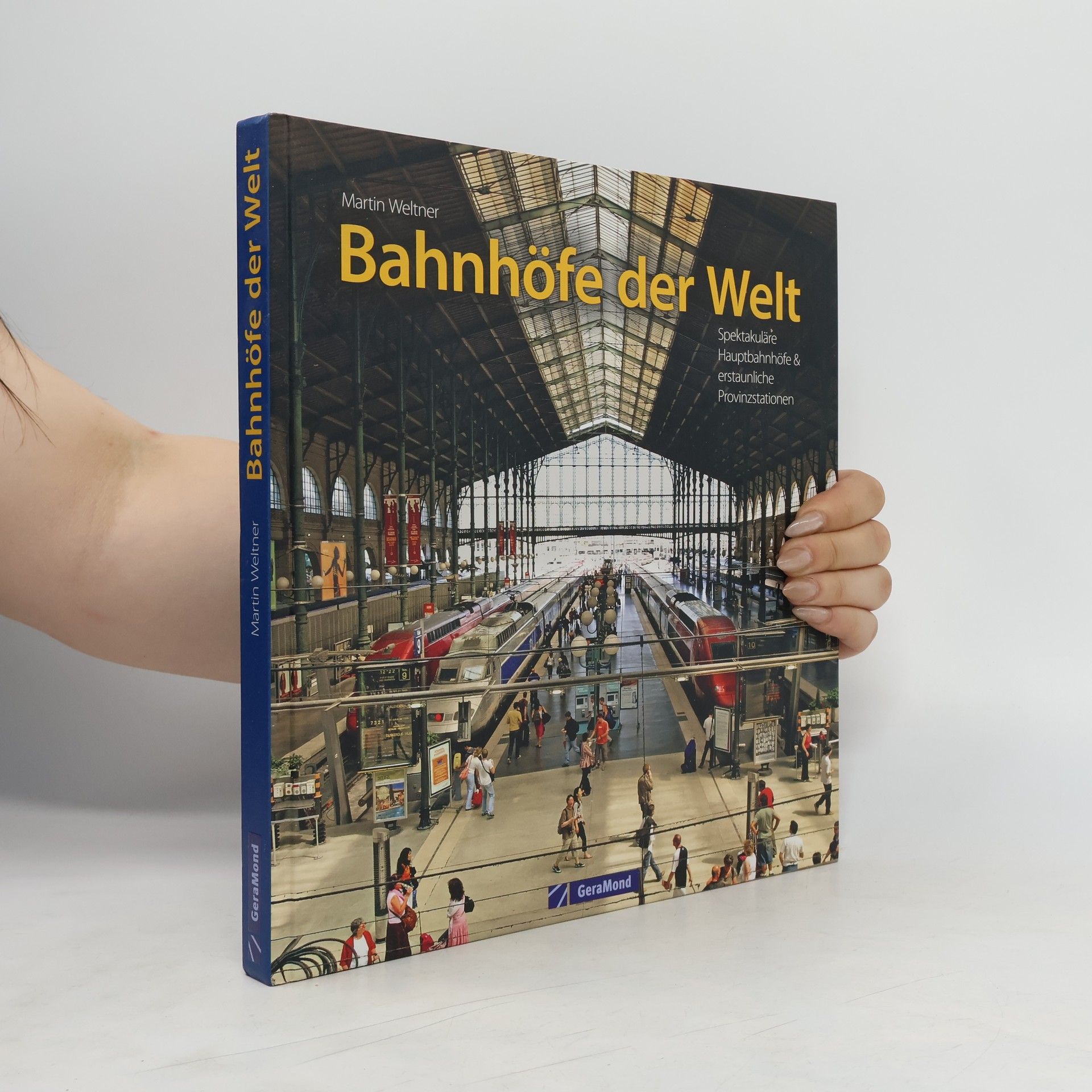Martin Weltner Bahnhöfe der Welt. Von den spektakulärsten Hauptbahnhöfen der Metropolen bis zu den erstaunlichsten Provinzstationen. Eine Bildr