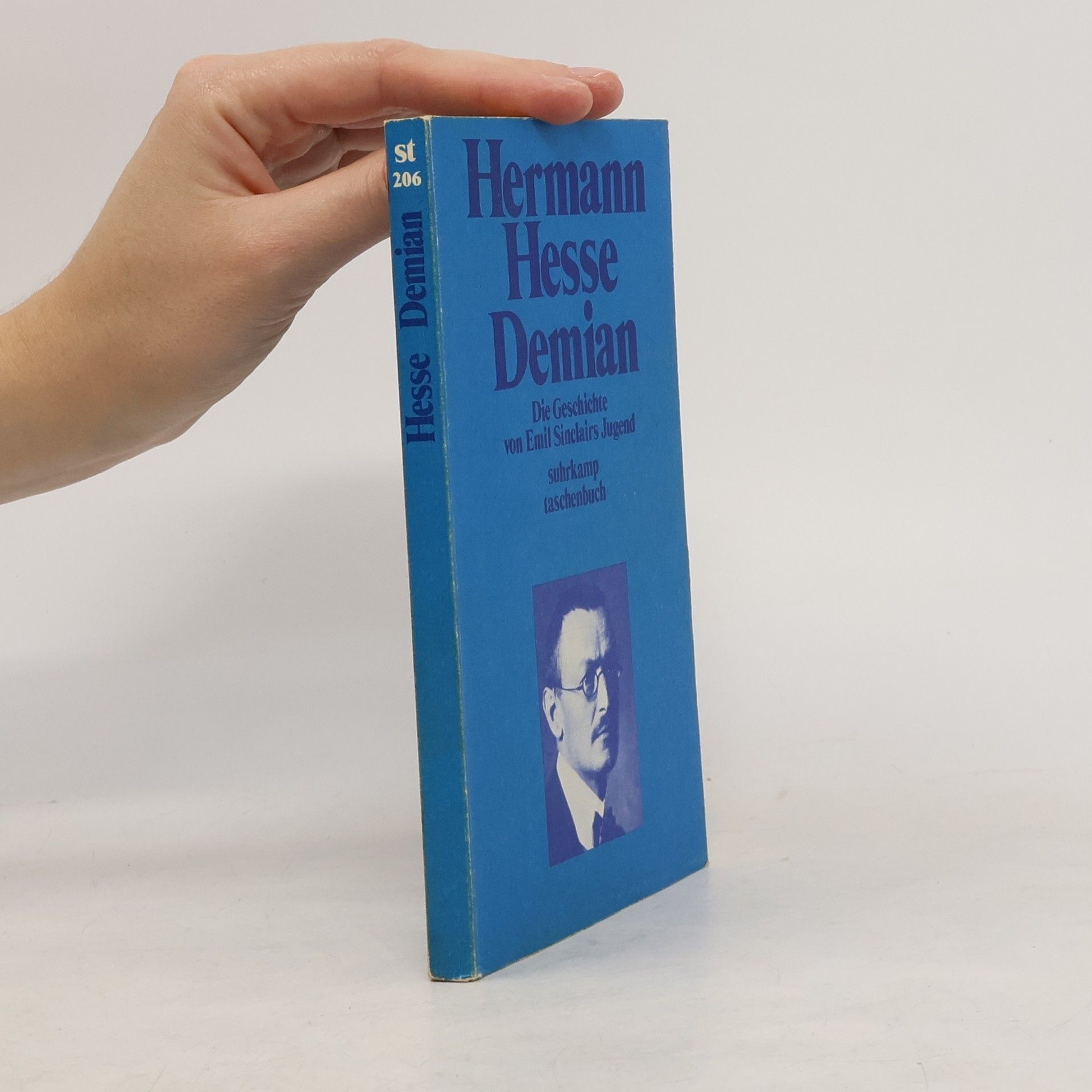 Hermann Hesse Demian : die Geschichte von Emil Sinclairs Jugend