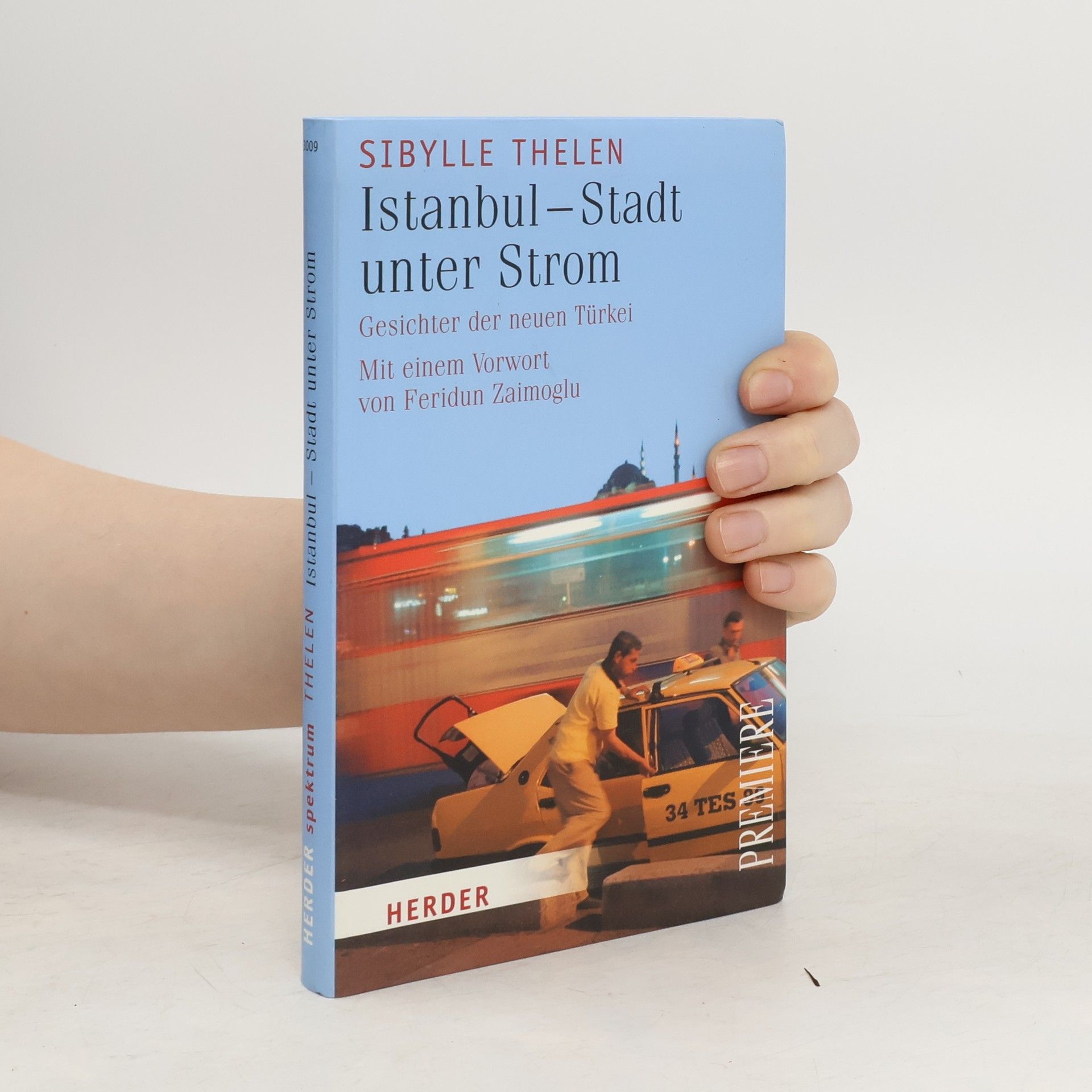 Sibylle Thelen Istanbul - Stadt unter Strom