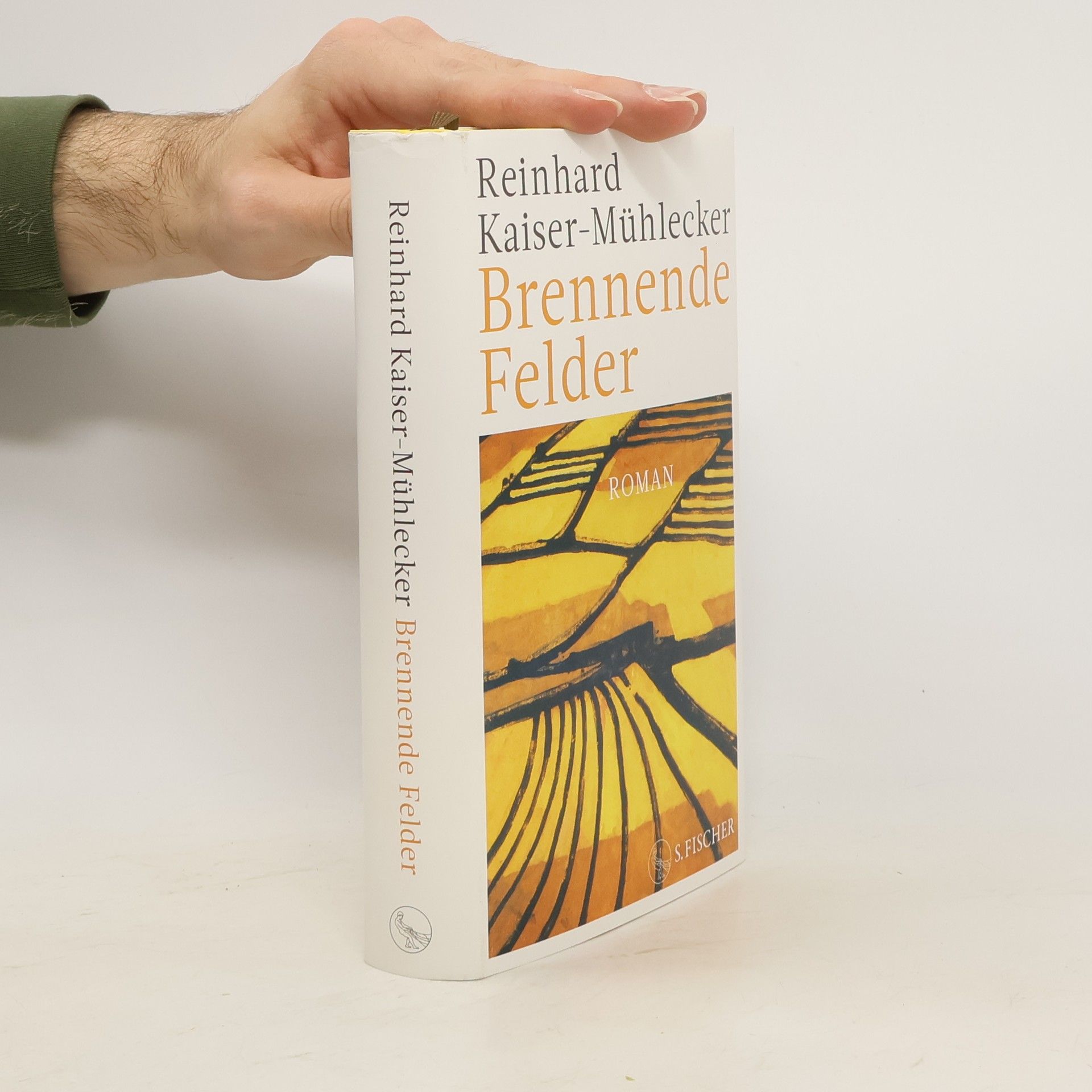 Reinhard Kaiser Brennende Felder