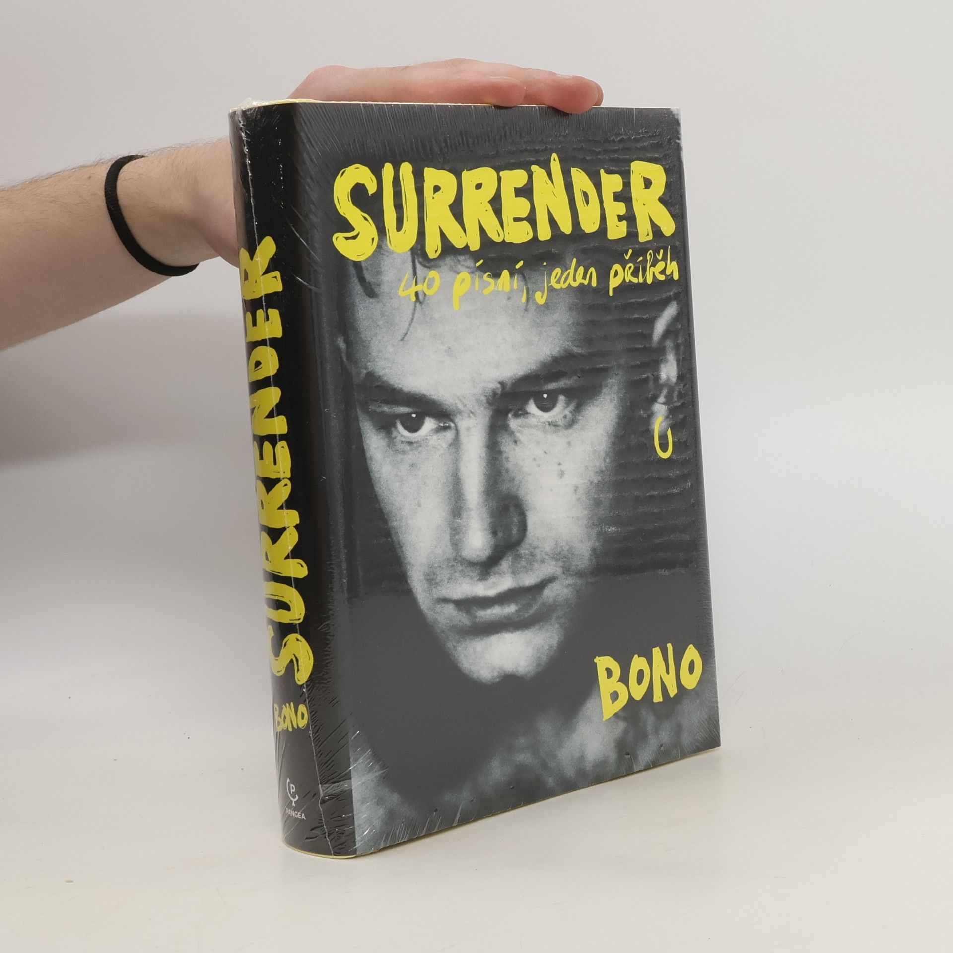 Surrender : 40 písní, jeden příběh
