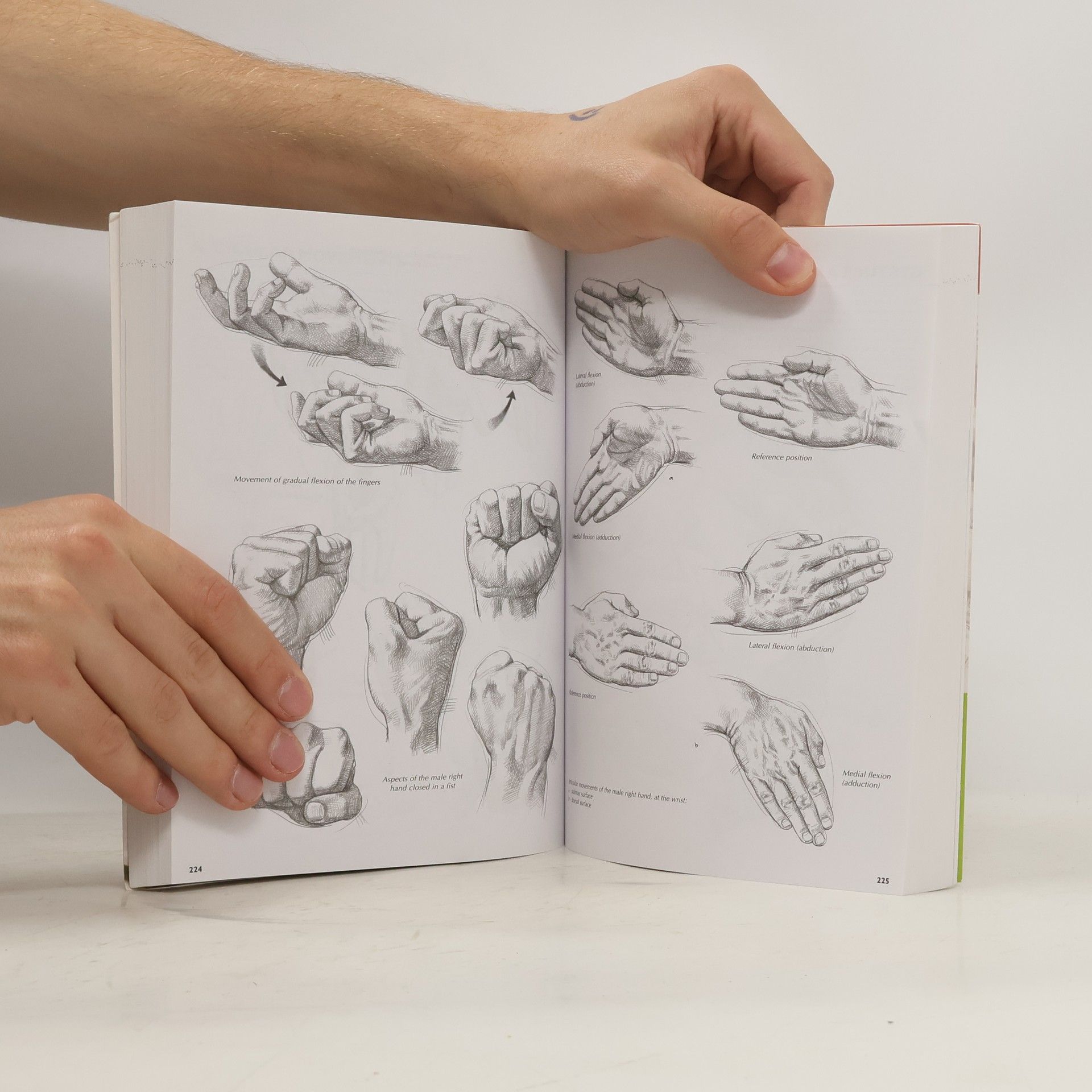 Giovanni Civardi Drawing: A Complete Guide