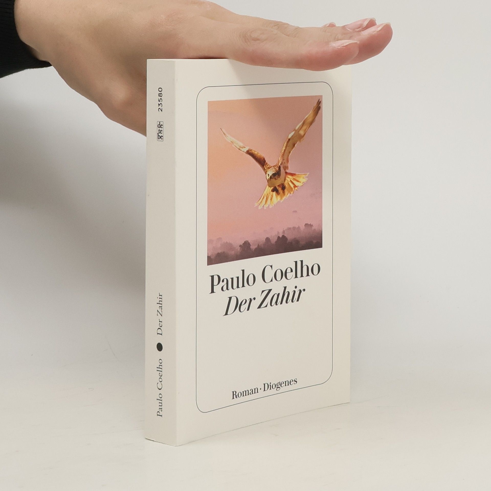 Paulo Coelho Der Zahir