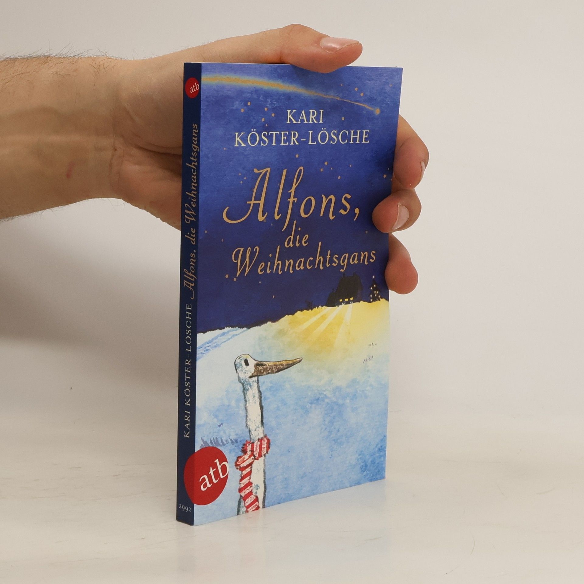 Kari Köster-Lösche Alfons, die Weihnachtsgans