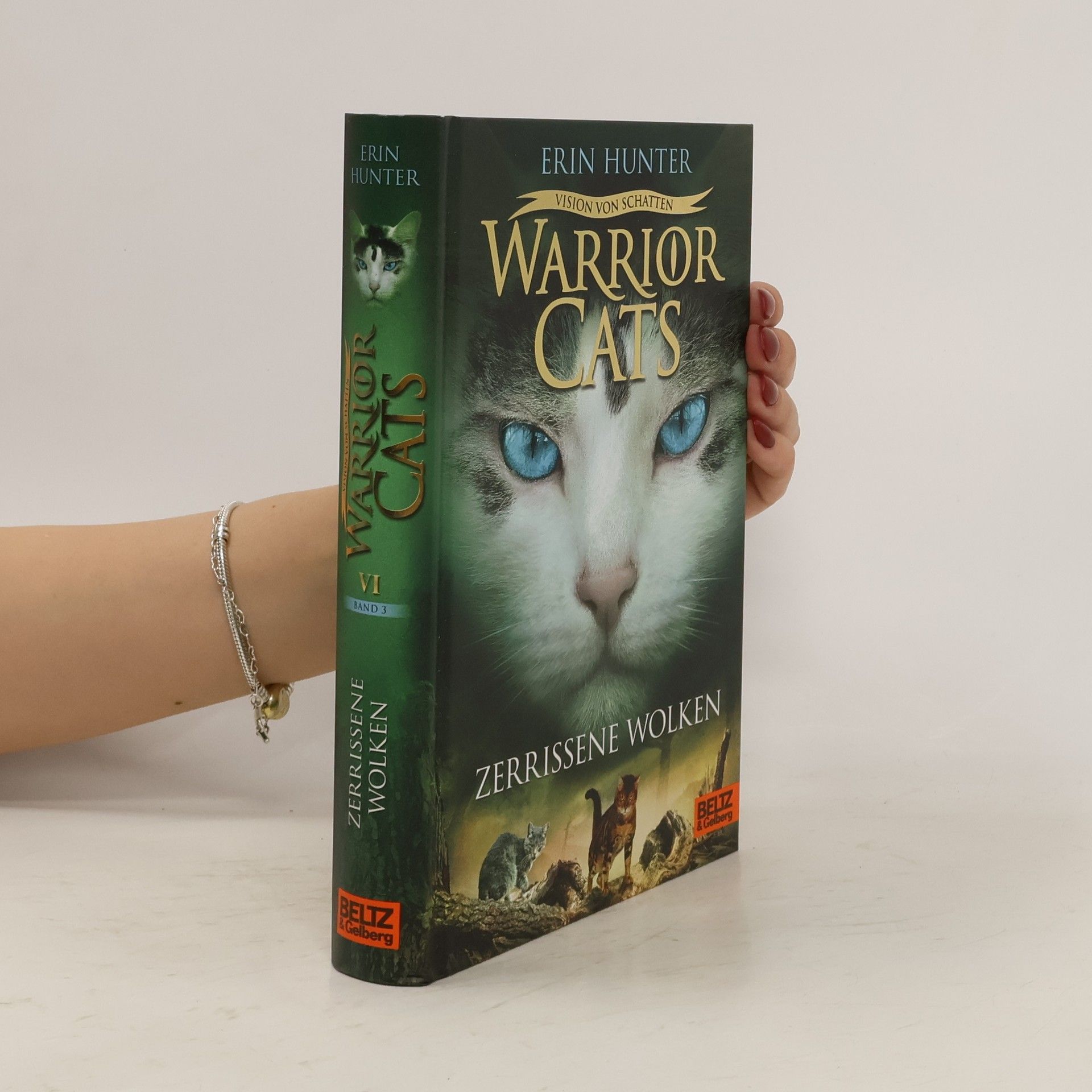 Erin Hunter Zerrissene Wolken