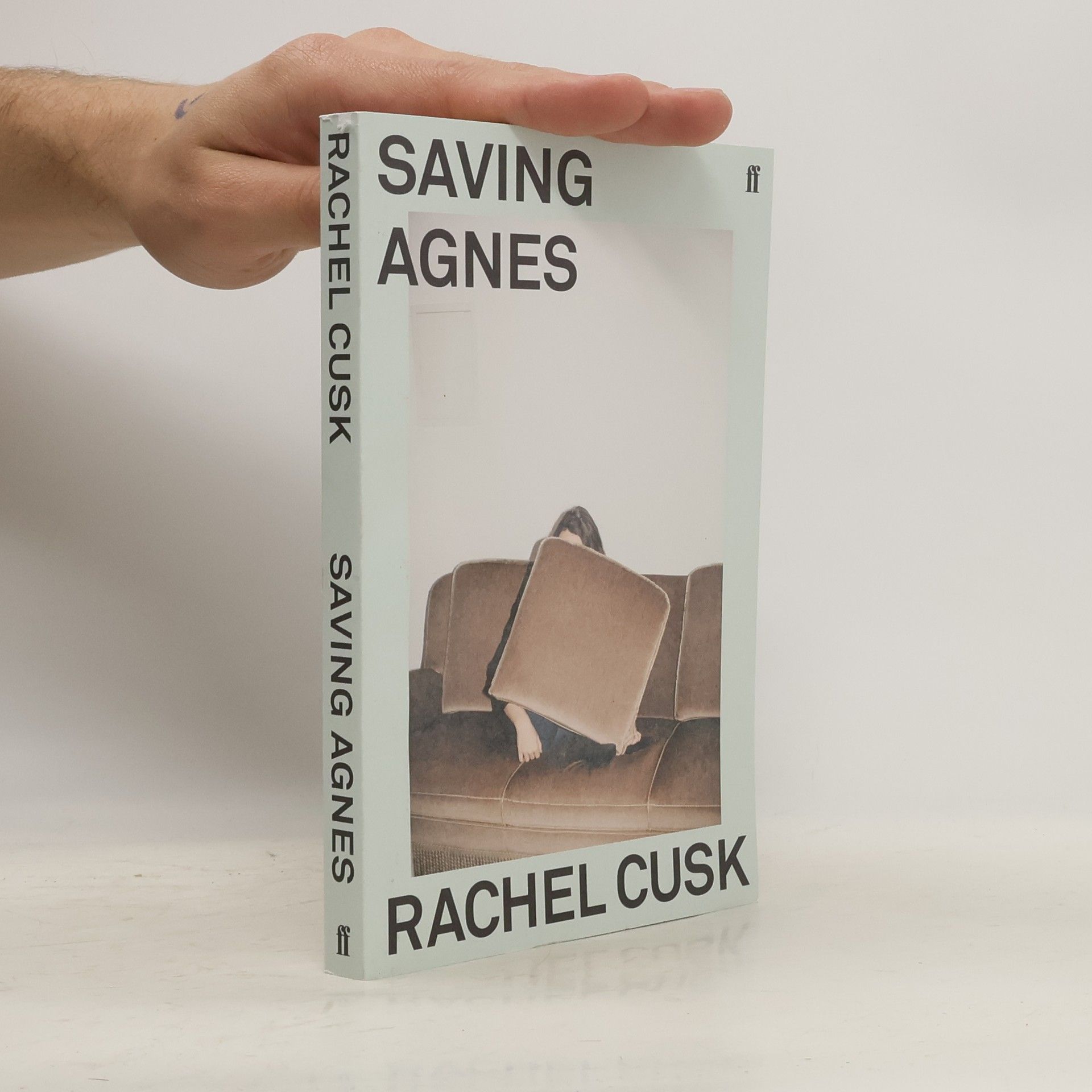 Rachel Cusk Saving Agnes