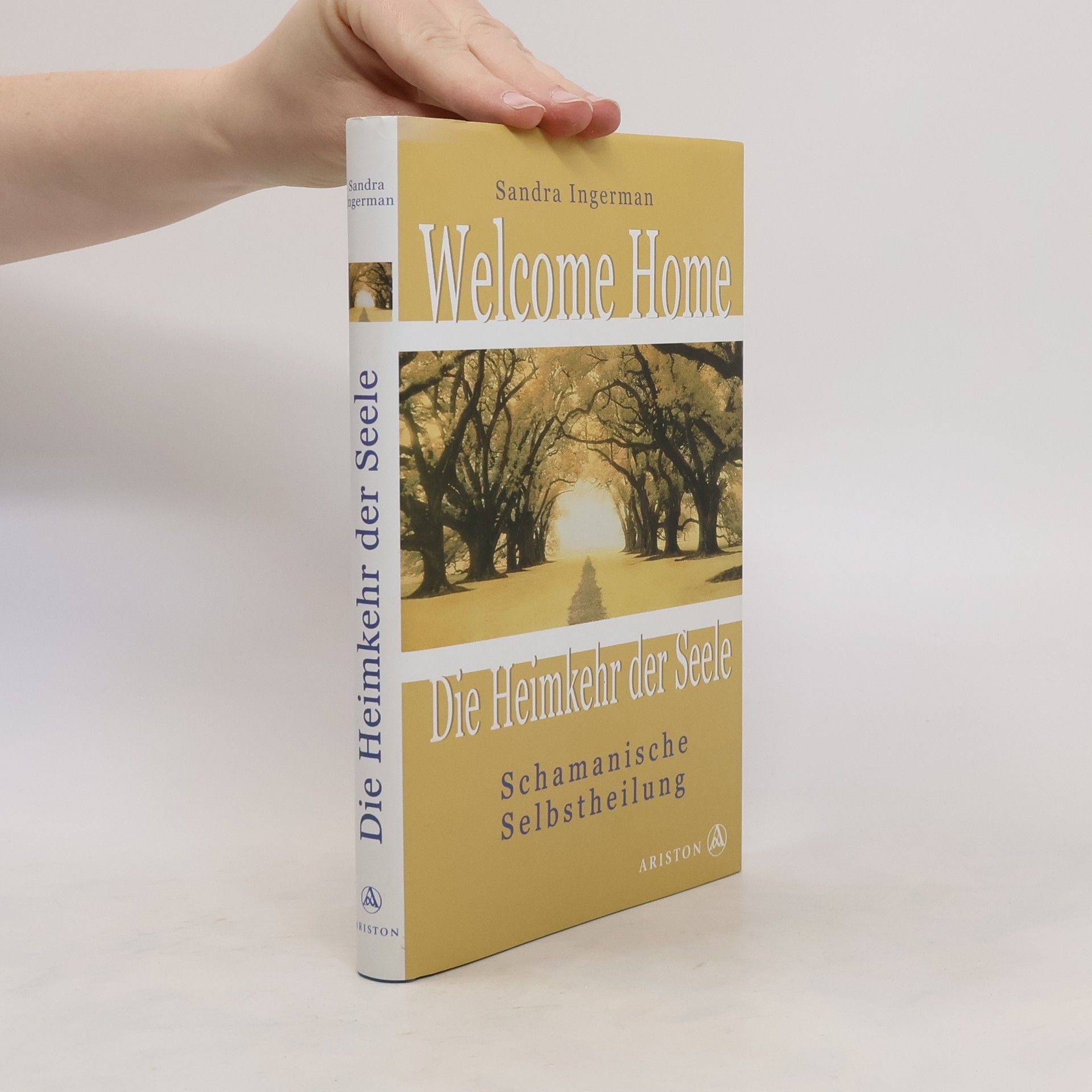 Sandra Ingerman Welcome home. Die Heimkehr der Seele