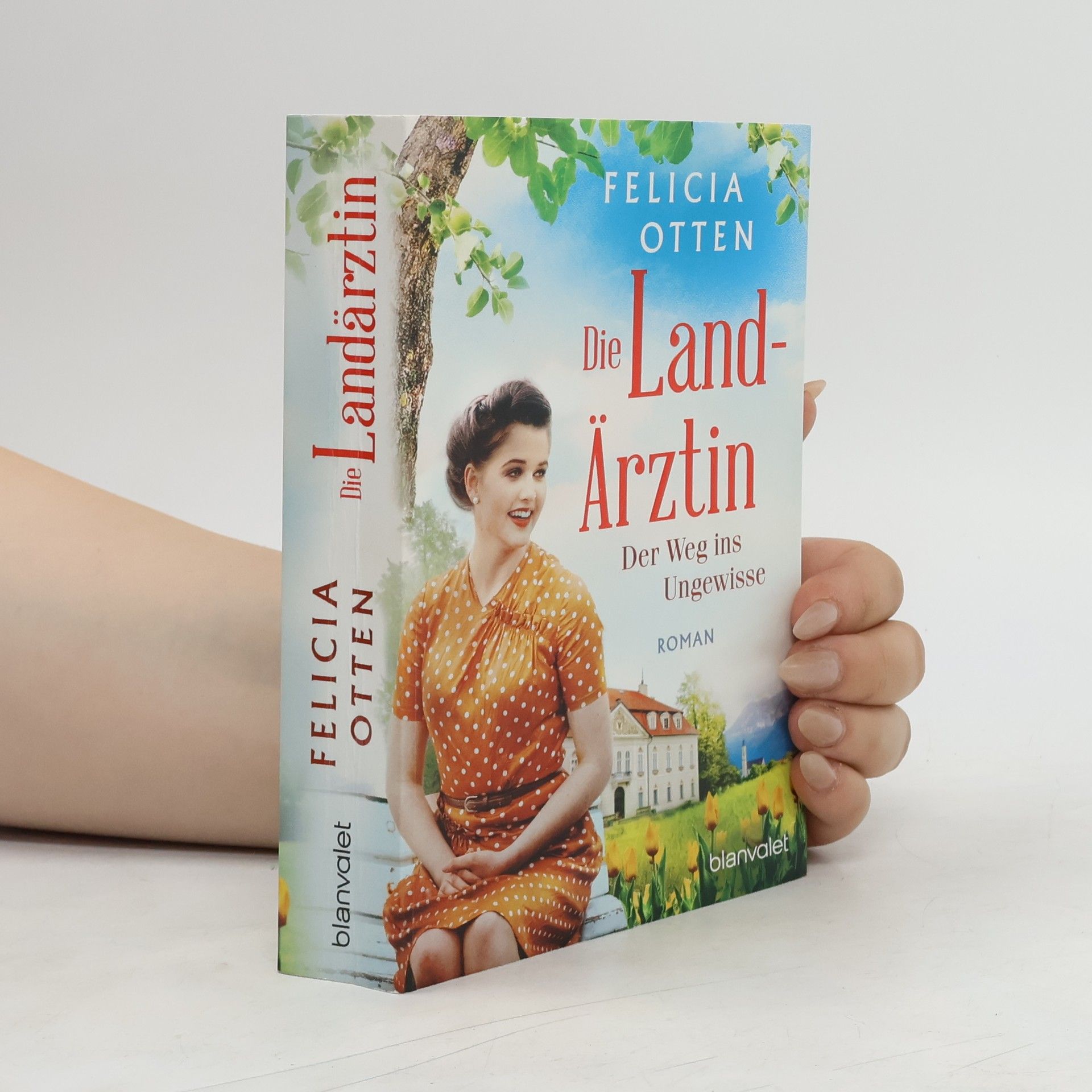 Felicia Otten Die Landärztin - Der Weg ins Ungewisse
