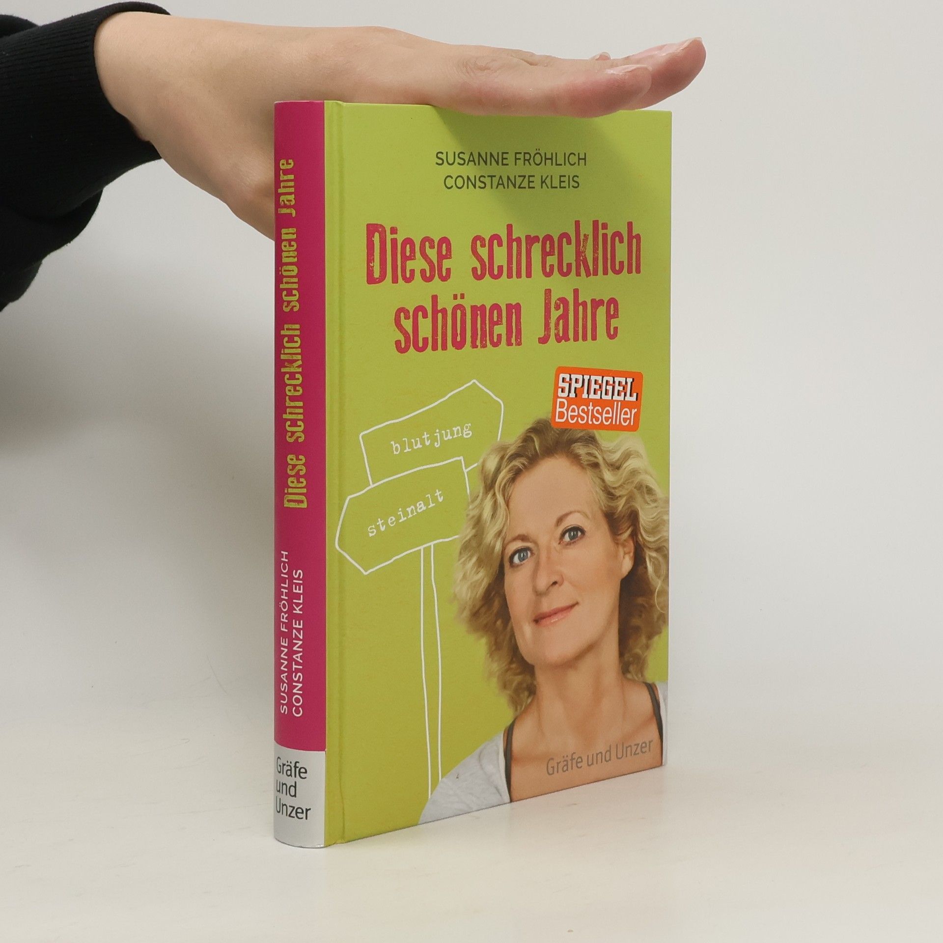 Susanne Fröhlich Diese schrecklich schönen Jahre
