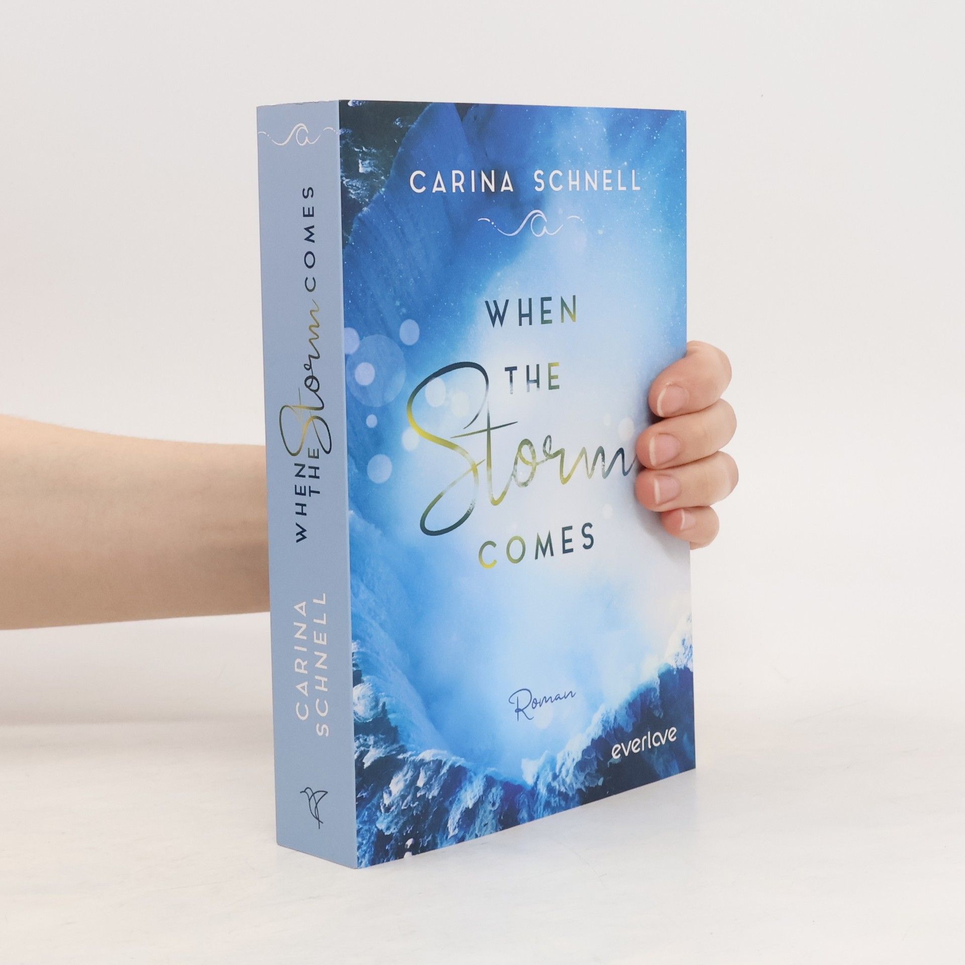 Carina Schnell When the storm comes