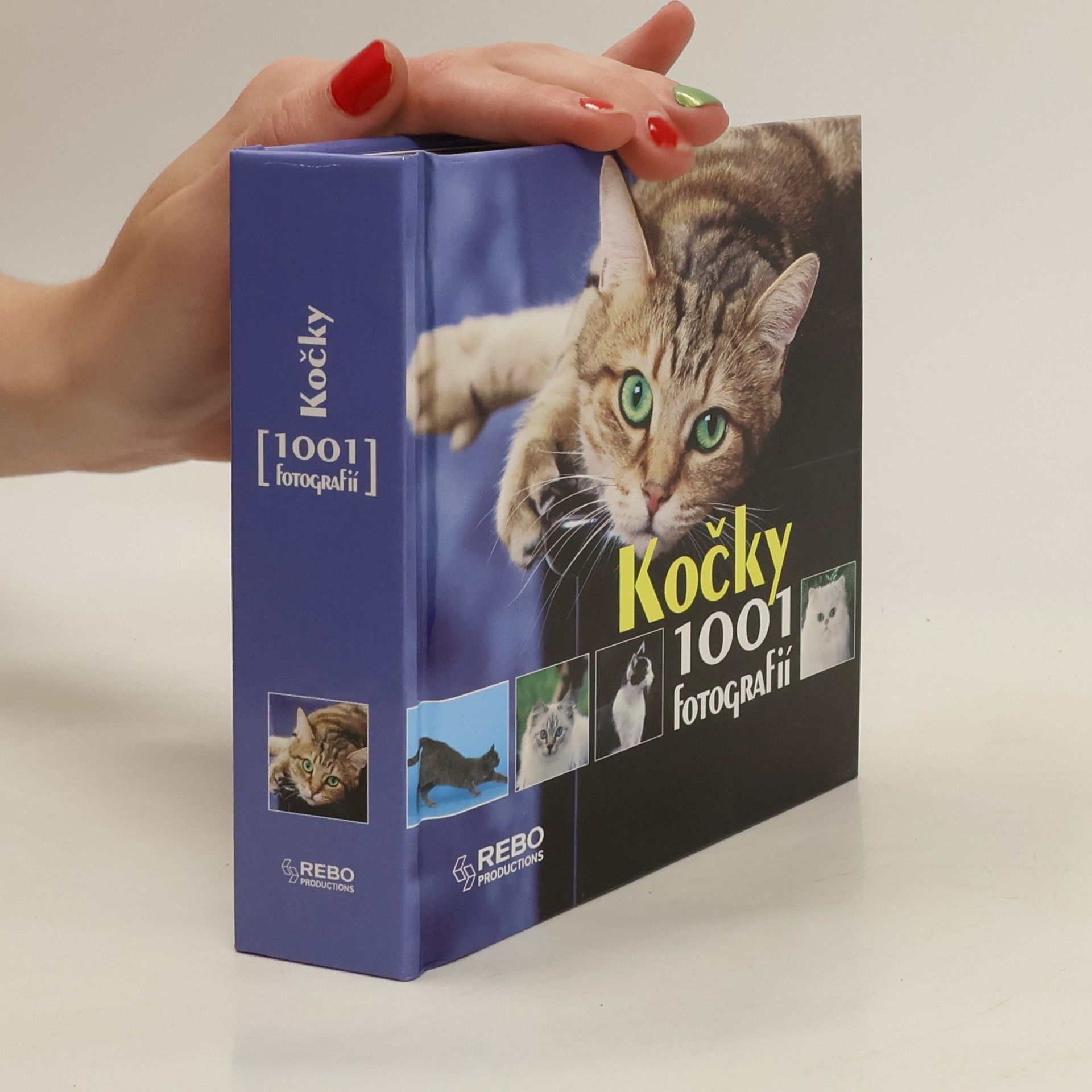 Yann Susic Kočky. 1001 fotografií