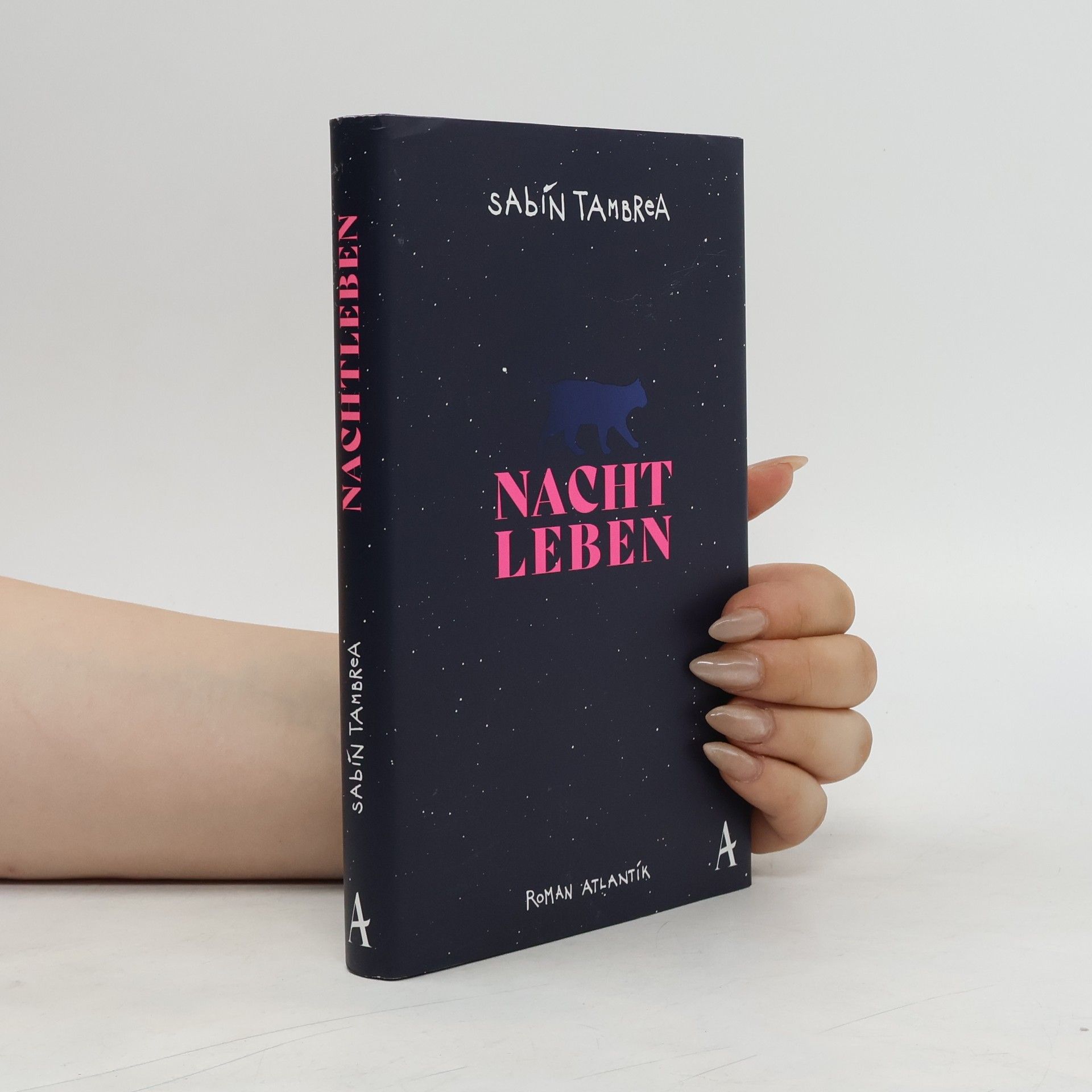 Sabin Tambrea Nachtleben : Roman