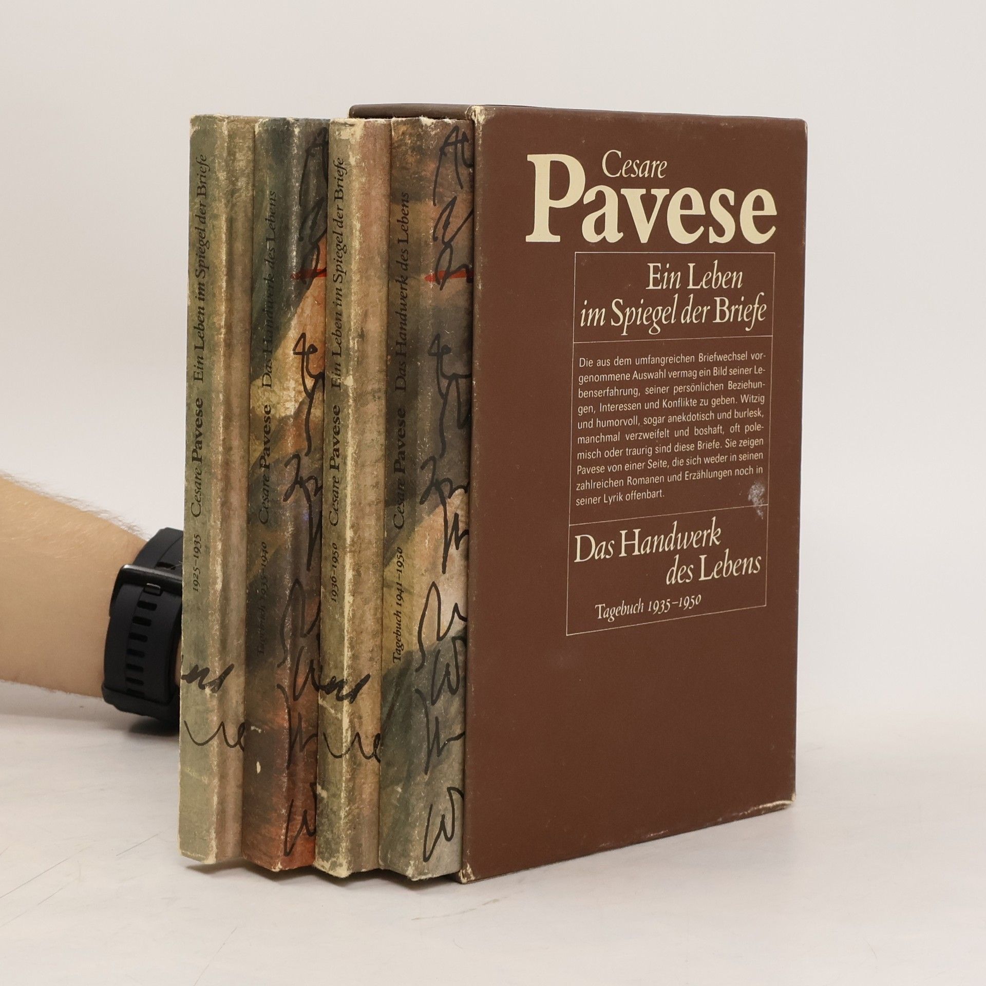 Cesare Pavese Ein Leben im Spiegel der Briefe