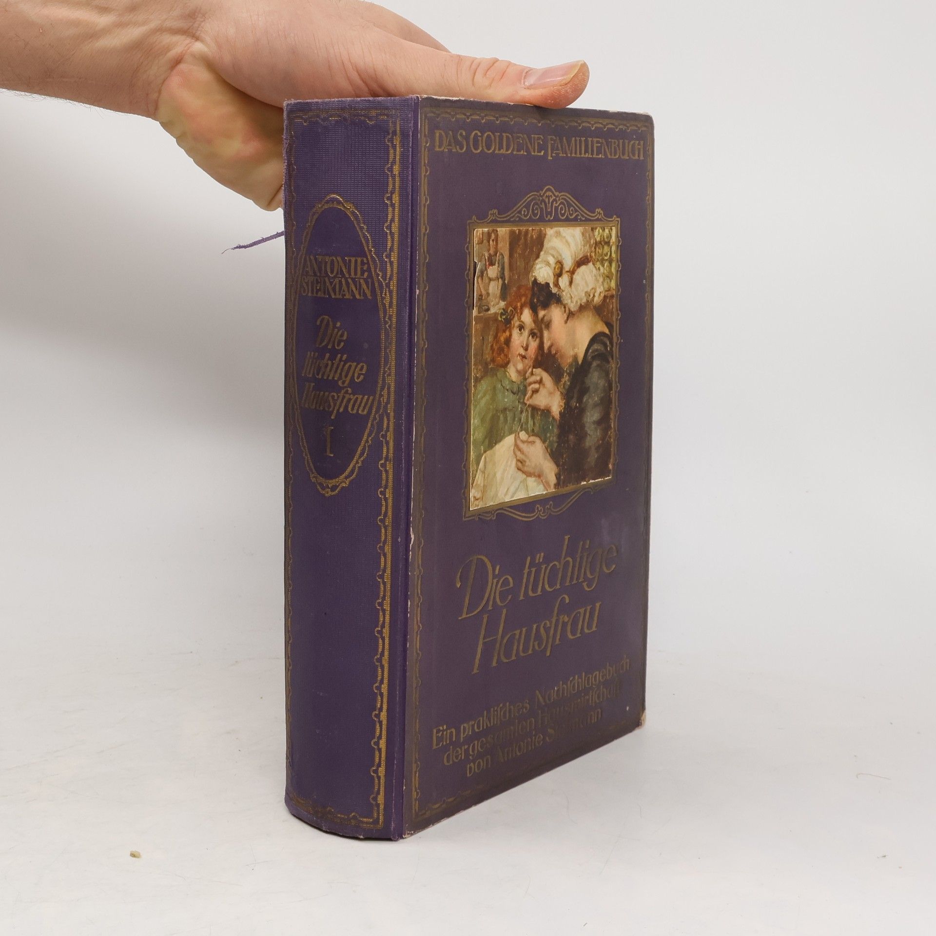 Antonie Steimann Die tüchtige Hausfrau. Eine praktisches Nachschlagebuch 1