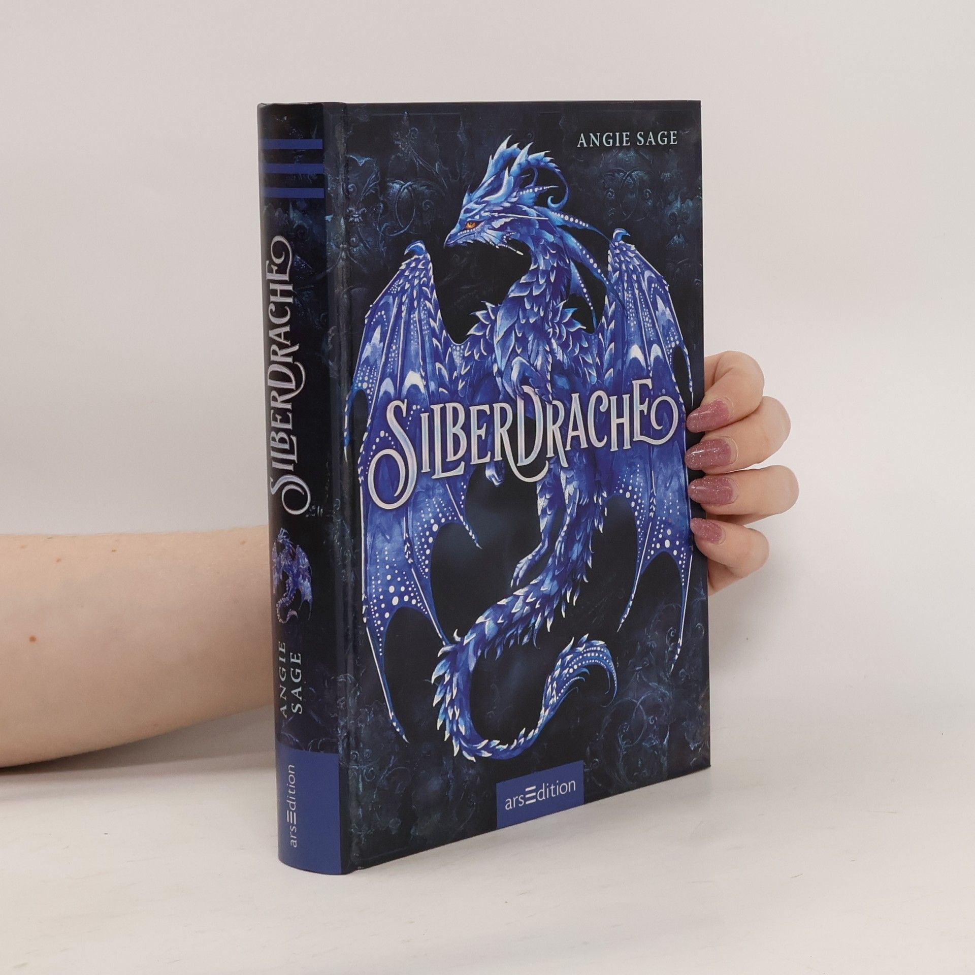 Angie Sage Silberdrache