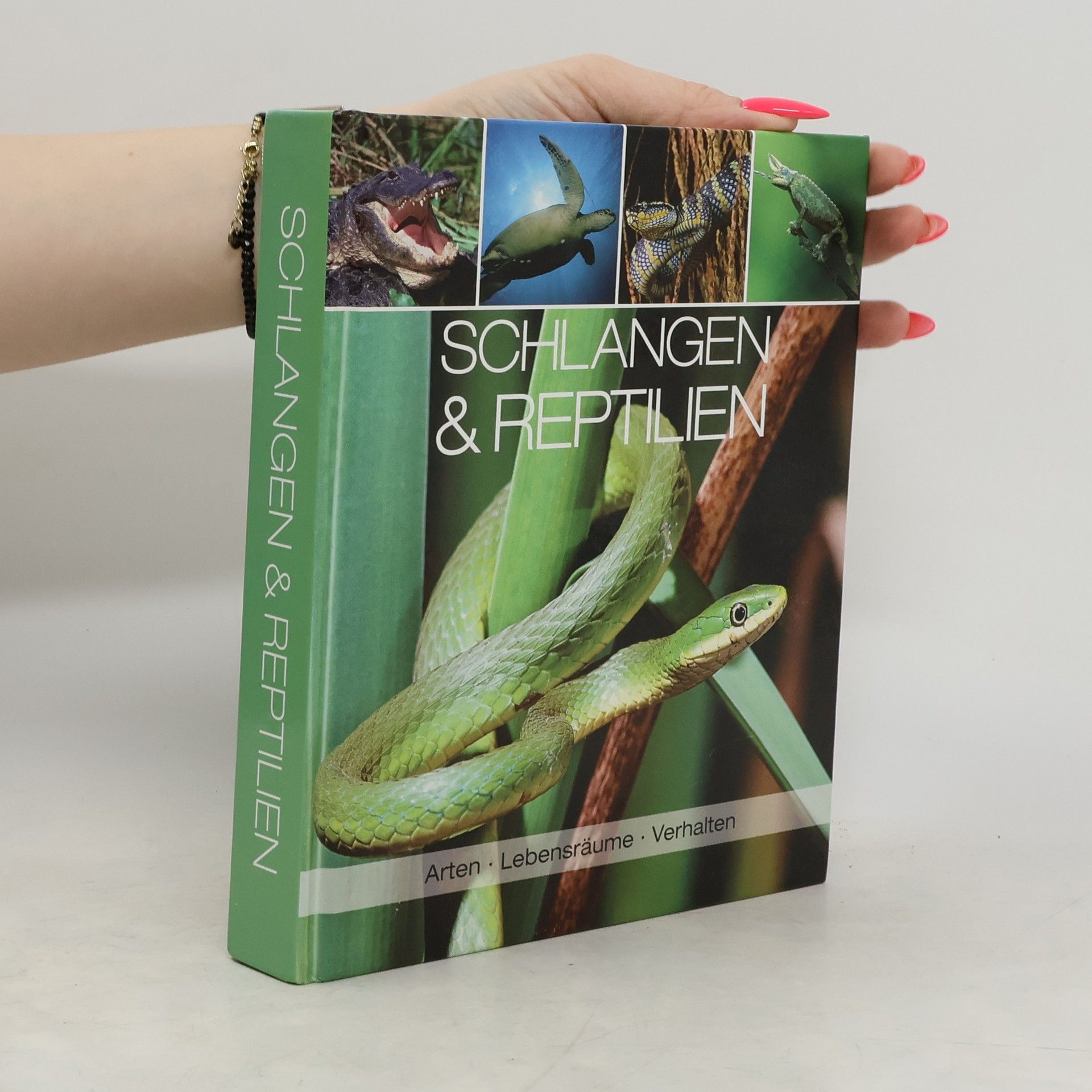 Collectif d'auteurs Schlangen & Reptilien