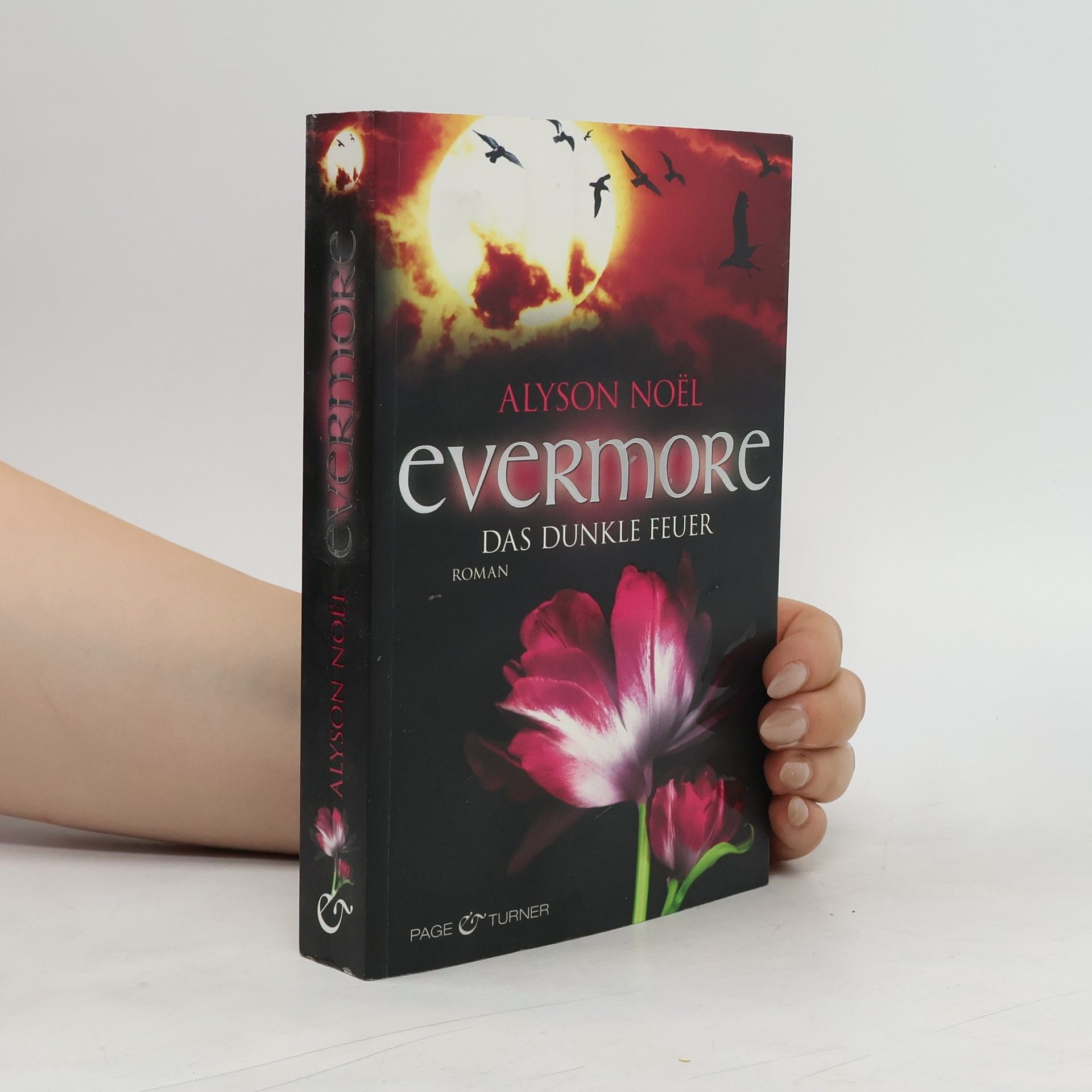 Alyson Noë͏l Evermore: Das dunkle Feuer