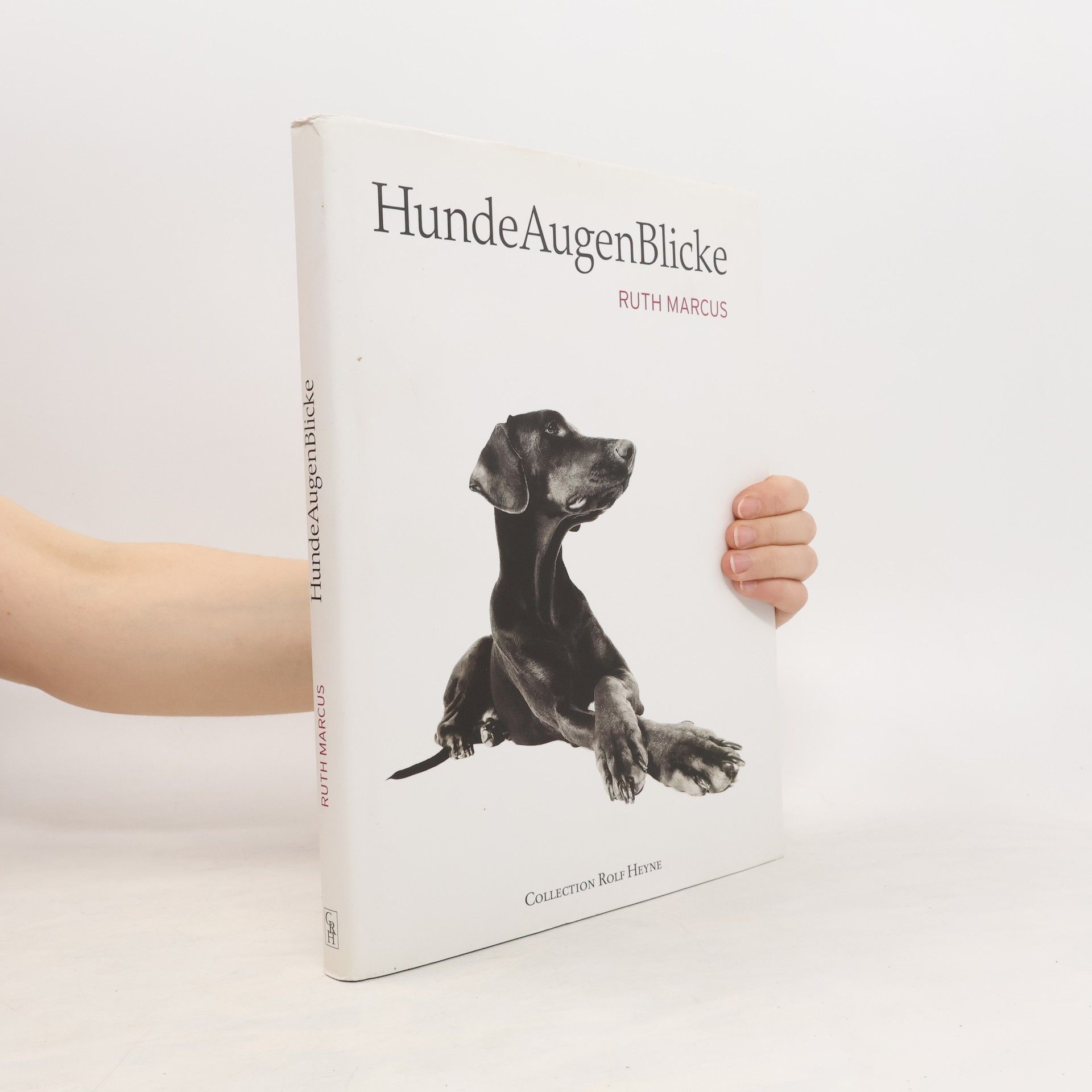 Ruth Marcus HundeAugenBlicke