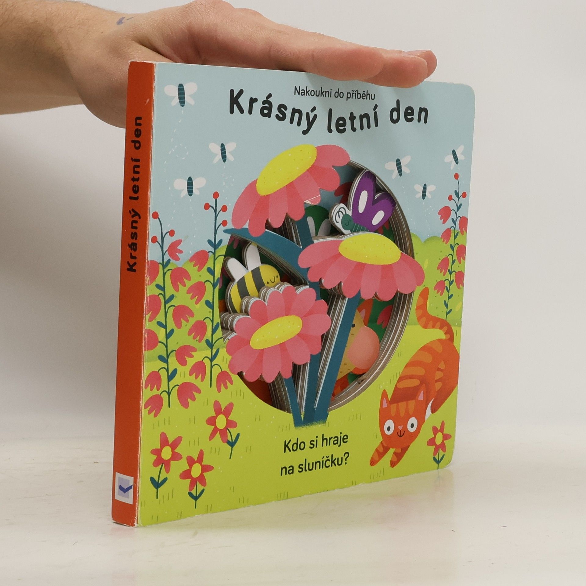 Anne Passchier Krásný letní den : kdo si hraje na sluníčku?