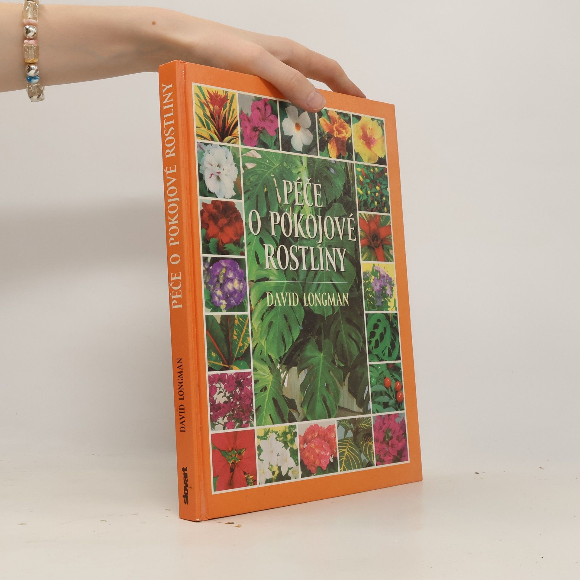 Péče o pokojové rostliny