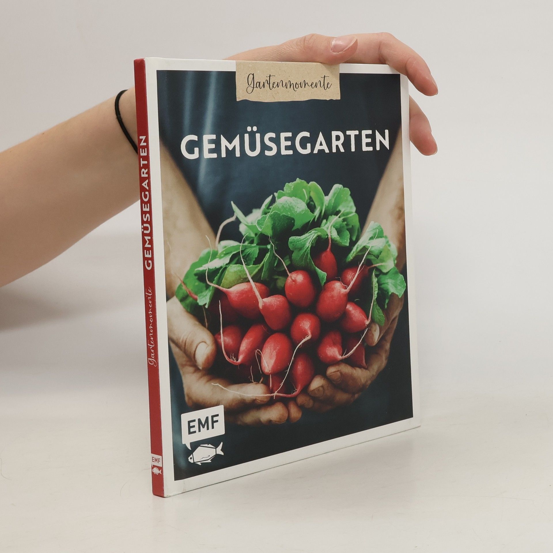 Annette Hollander Gartenmomente: Gemüsegarten