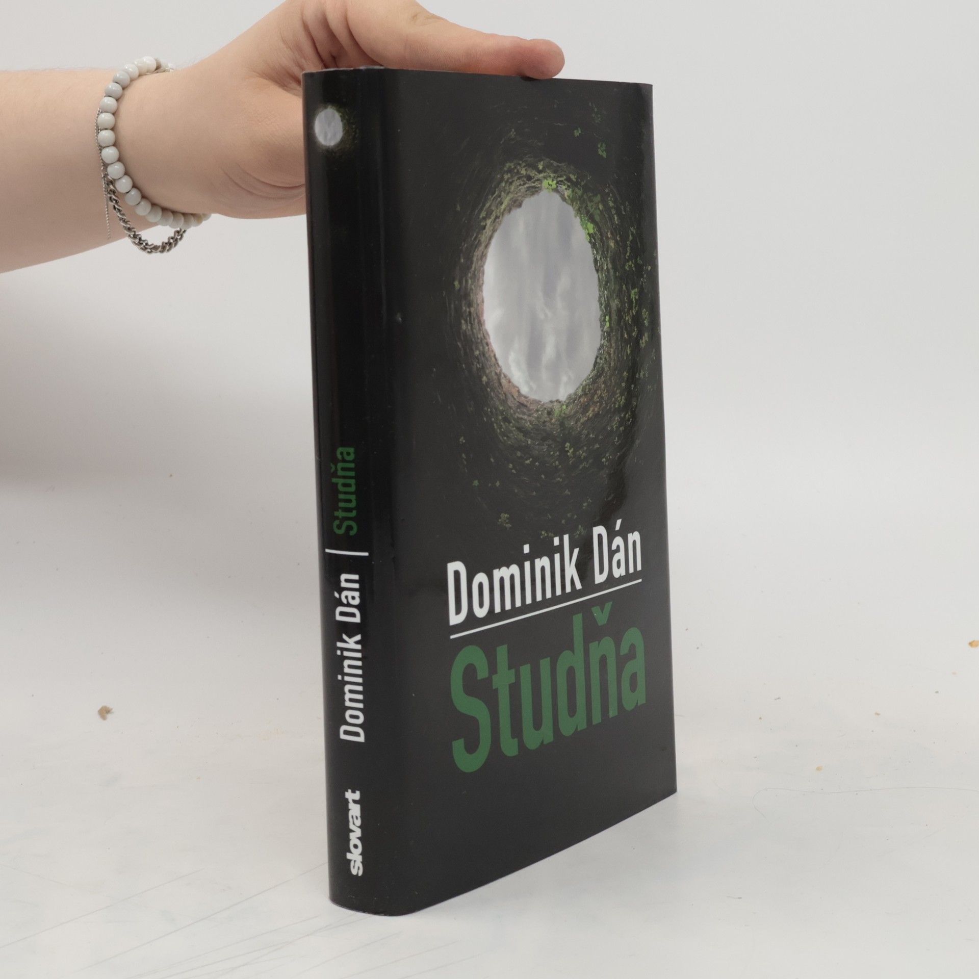 Dominik Dán Studňa