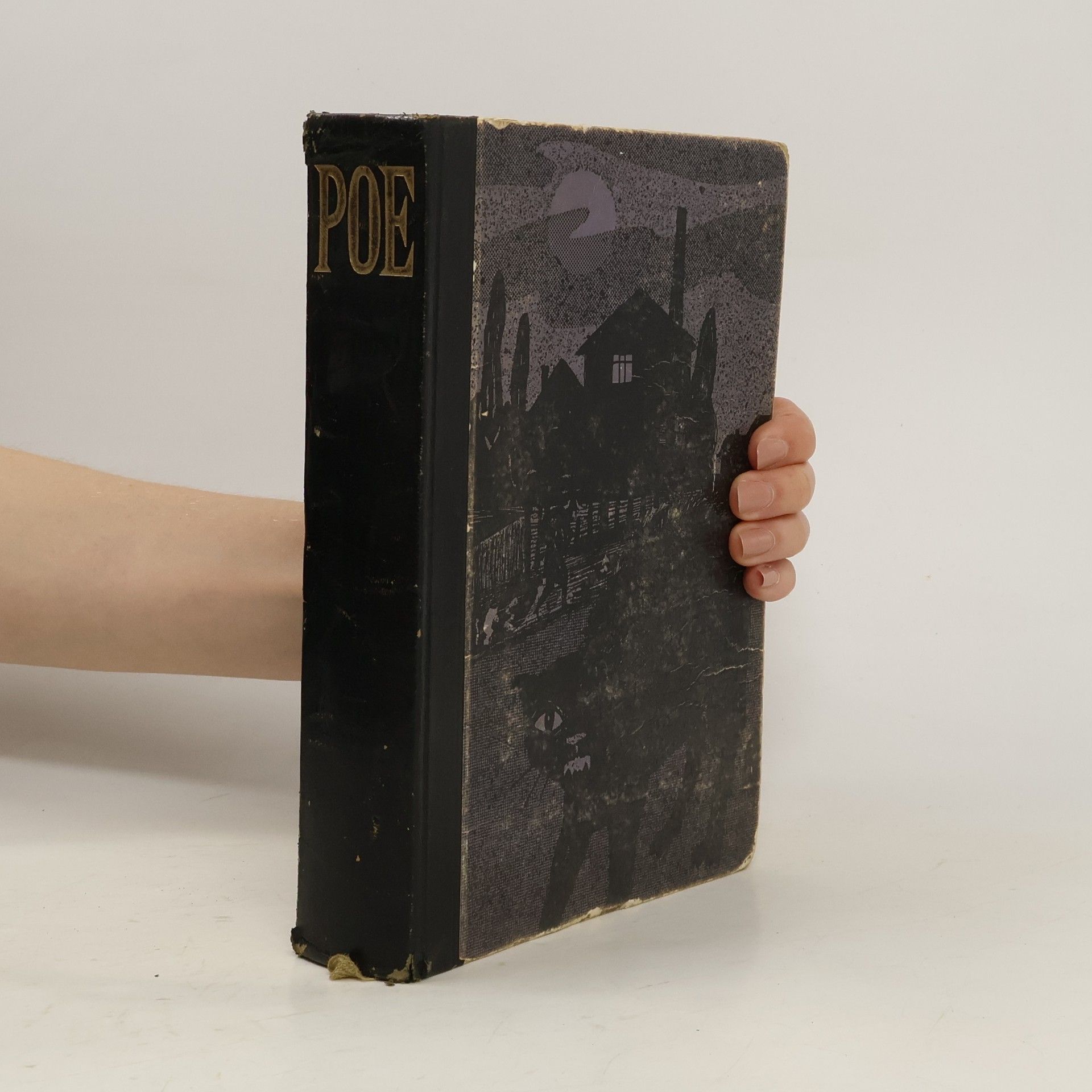 Edgar Allan Poe Aus den Tiefen der Seele. Phantastische Geschichten