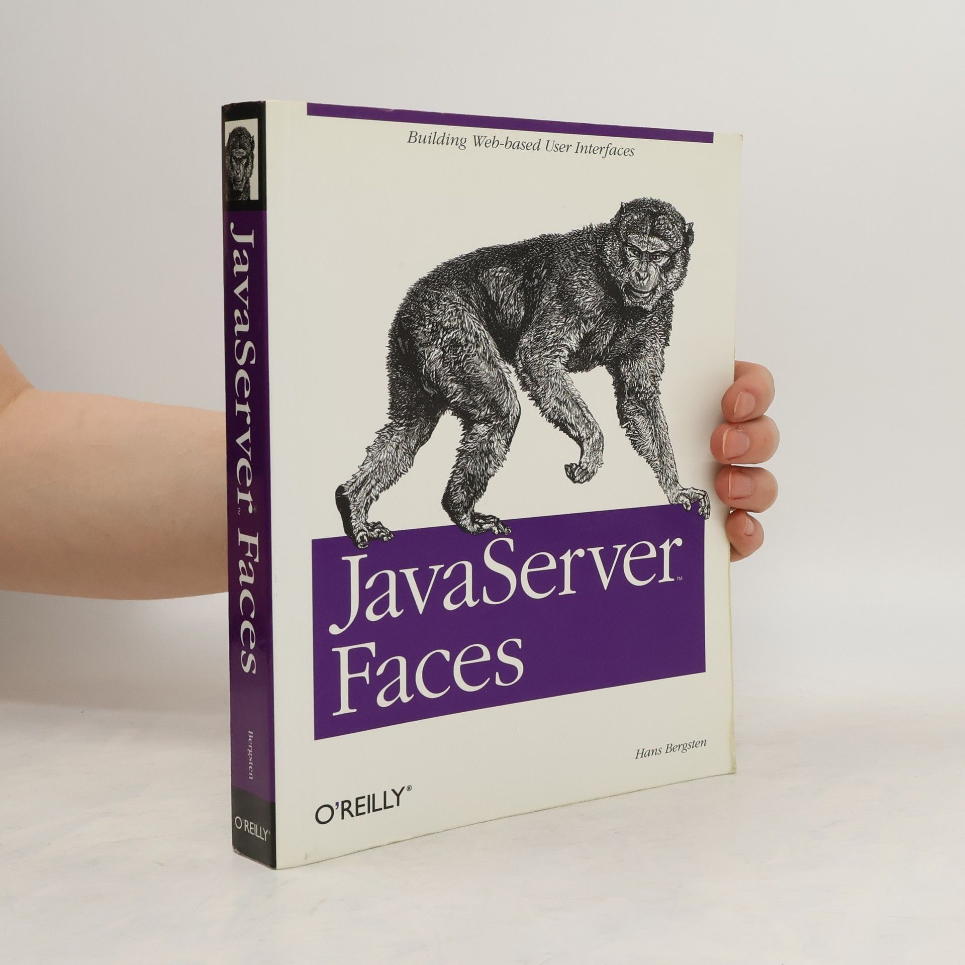 Hans Bergsten JavaServer faces