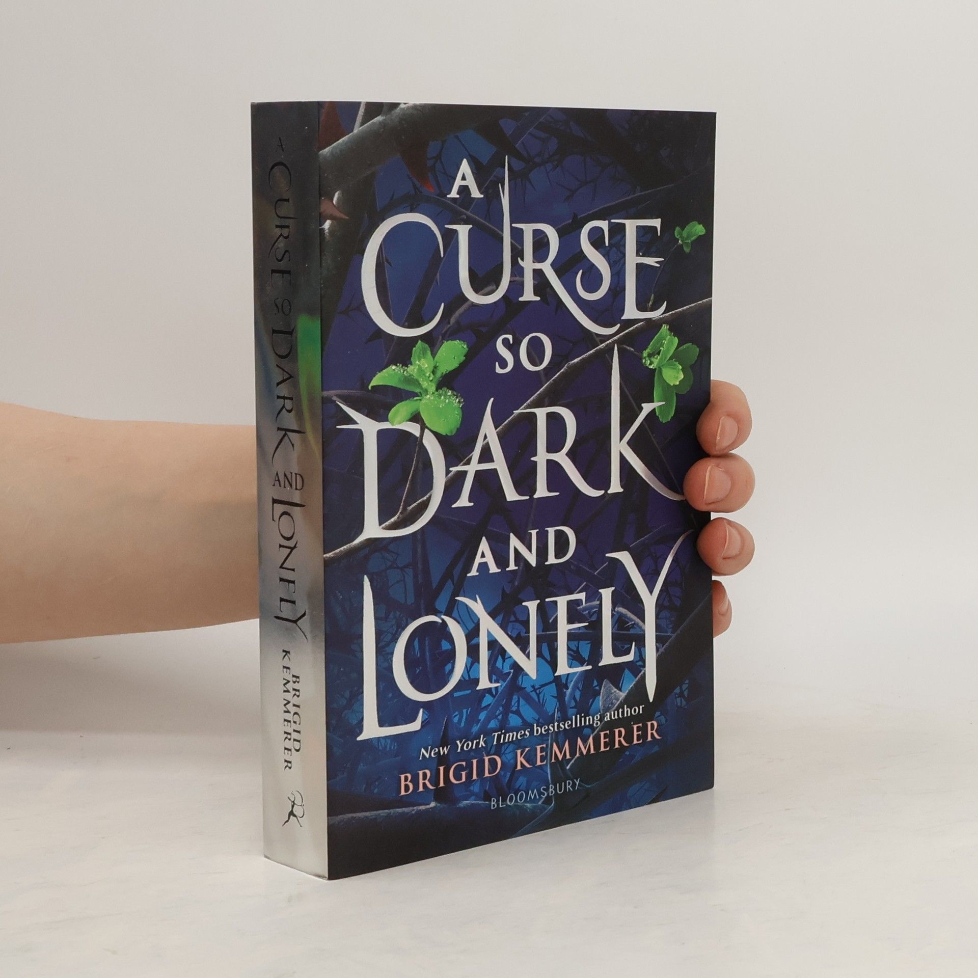 Brigid Kemmerer A curse so dark and lonely (1. díl série)