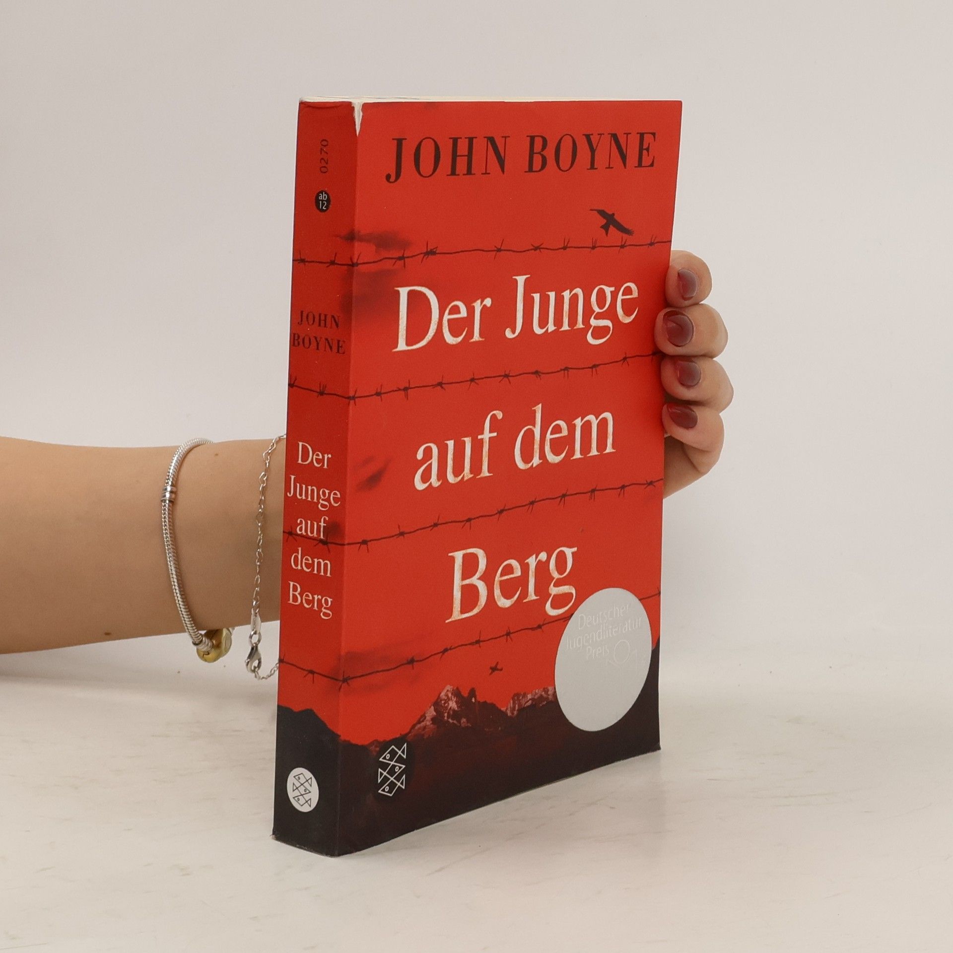 John Boyne Der Junge auf dem Berg