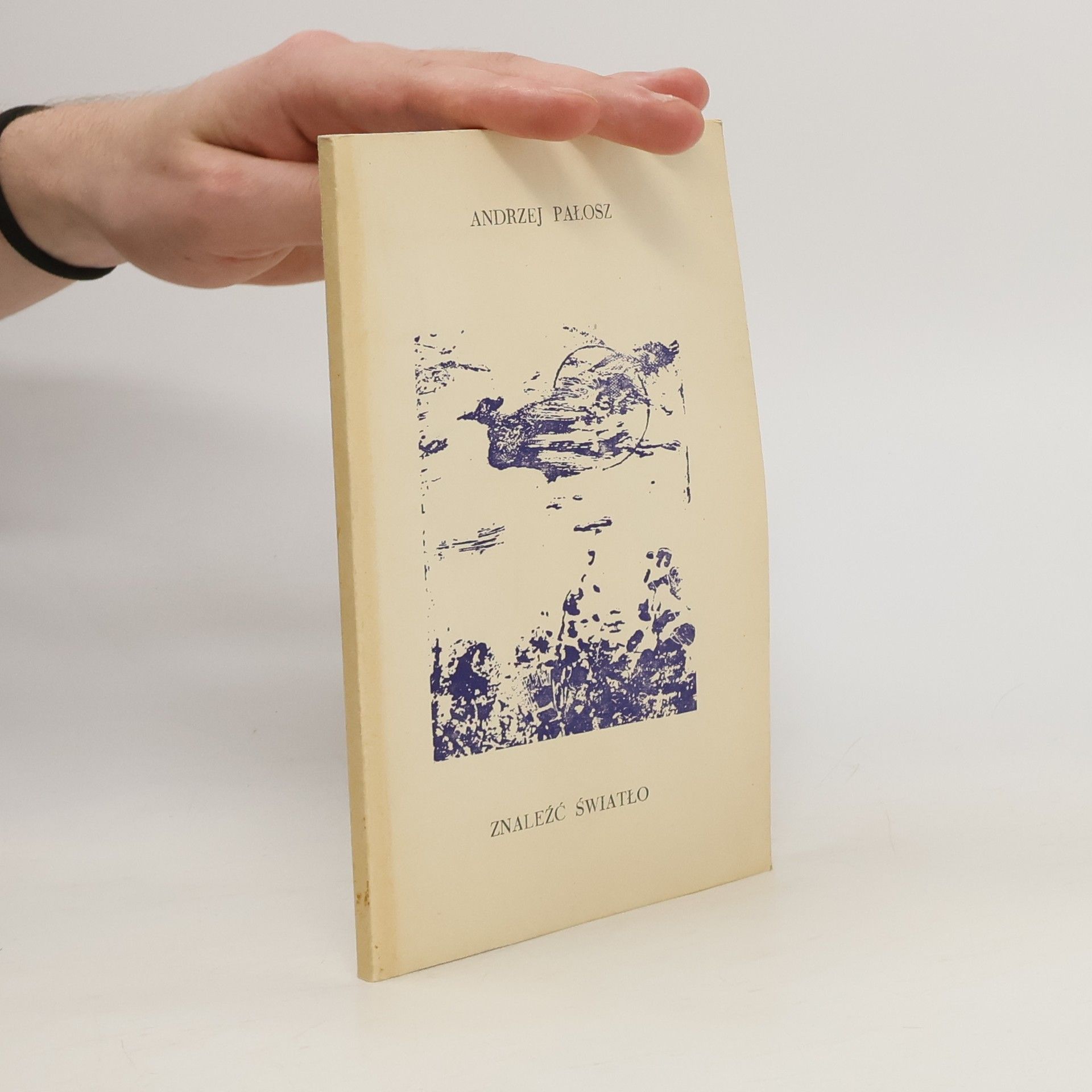 Andrzej Pałosz Znaleźć światło