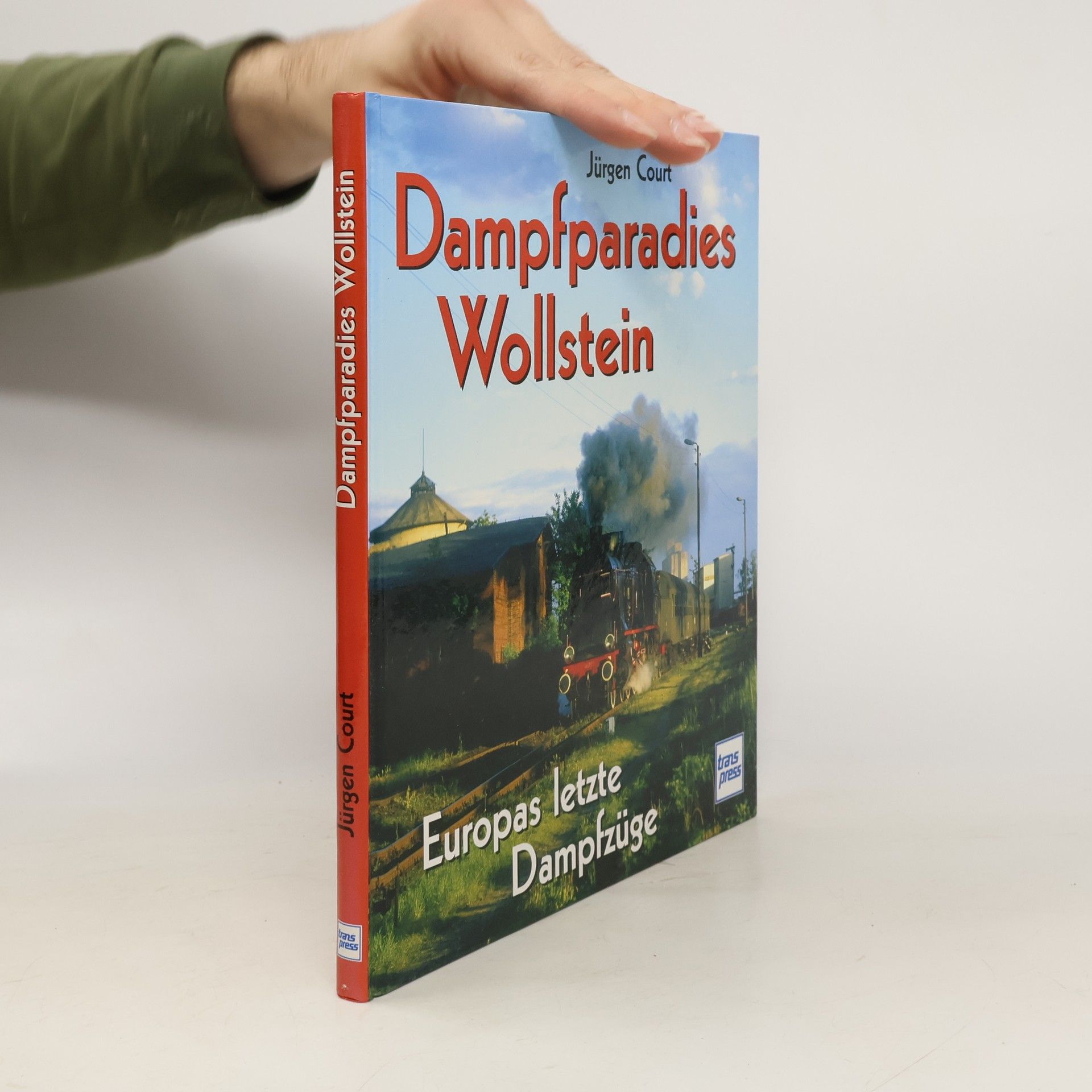 Jürgen Court Dampfparadies Wollstein