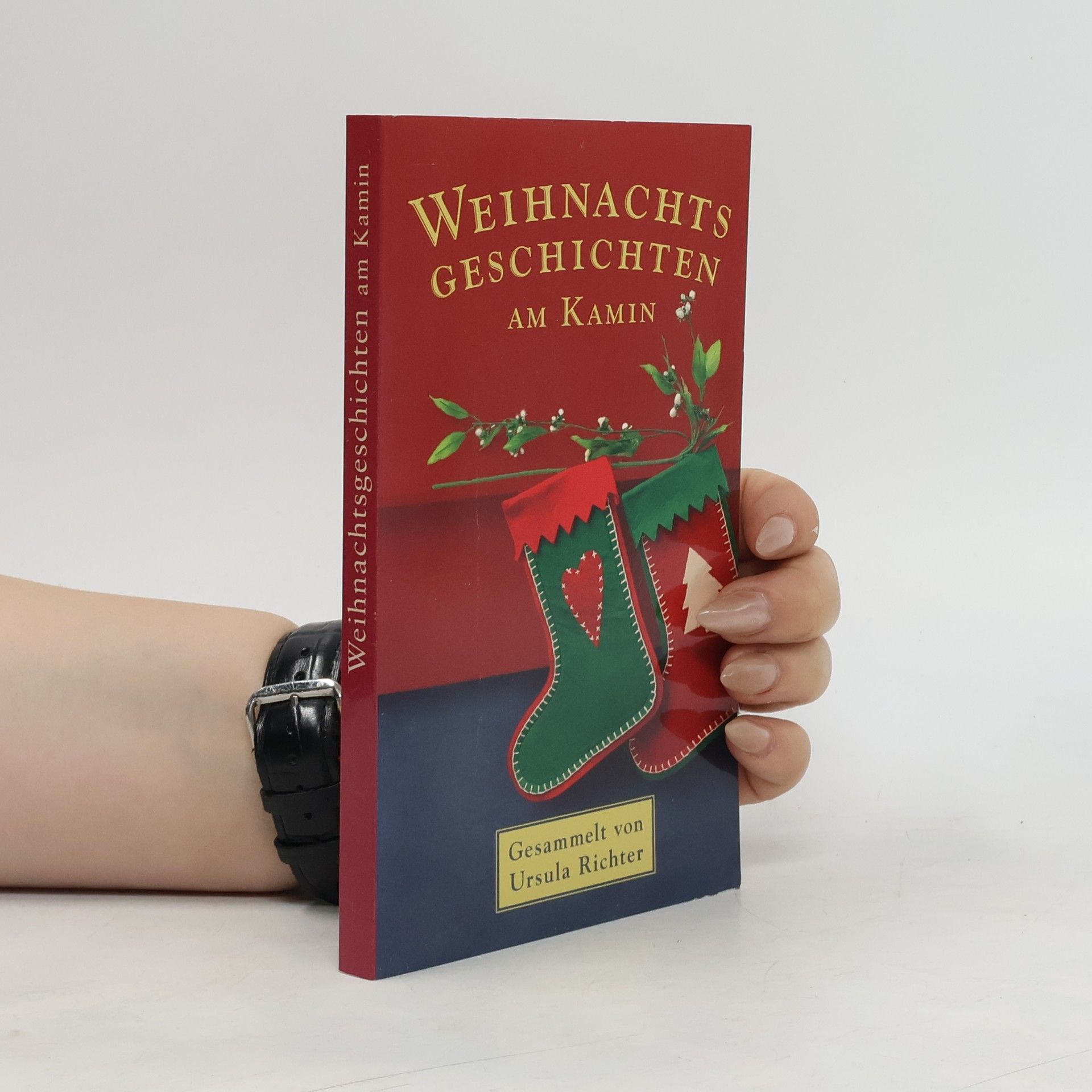 Ursula Richter Weihnachtsgeschichten am Kamin