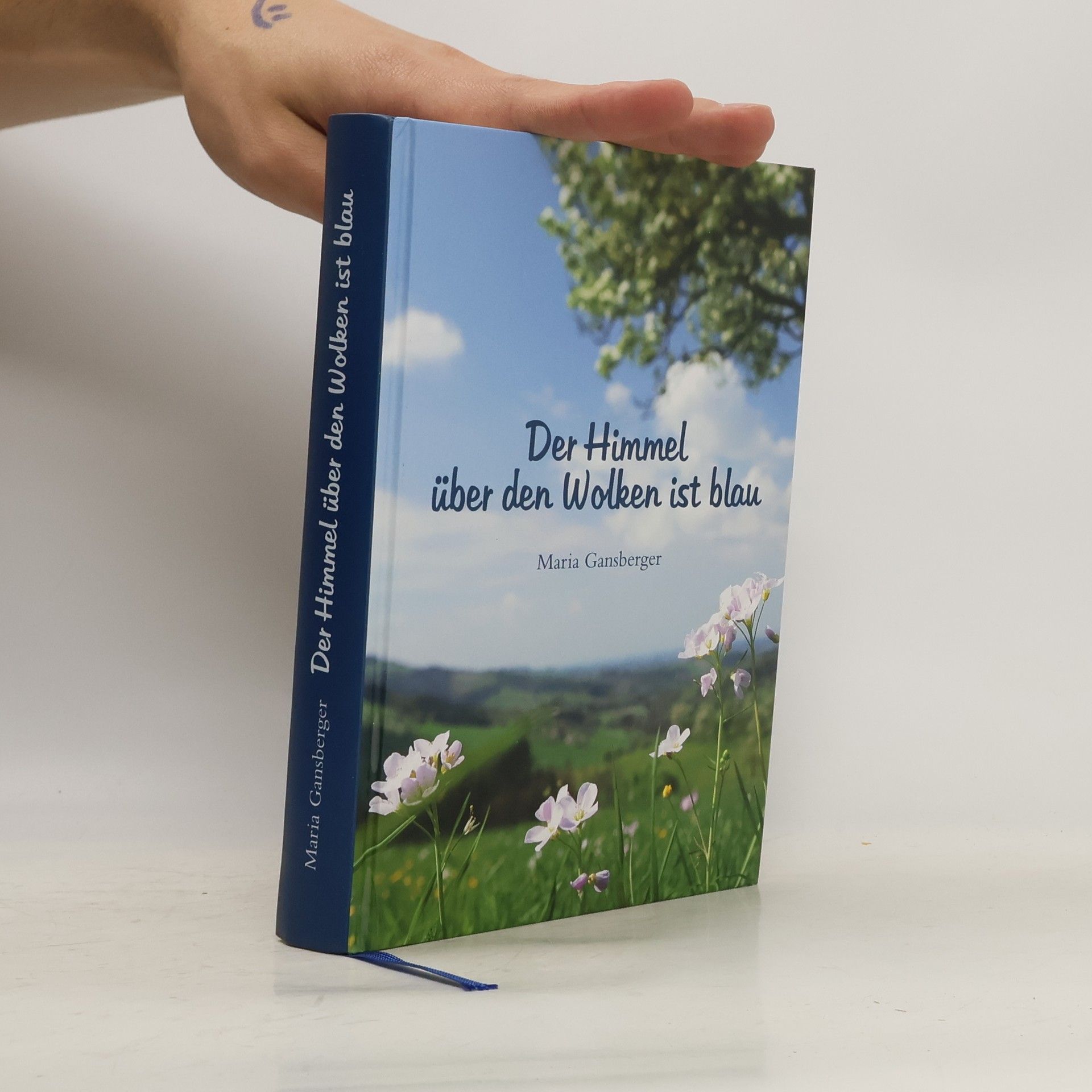 Maria Gansberger Der Himmel über den Wolken ist blau