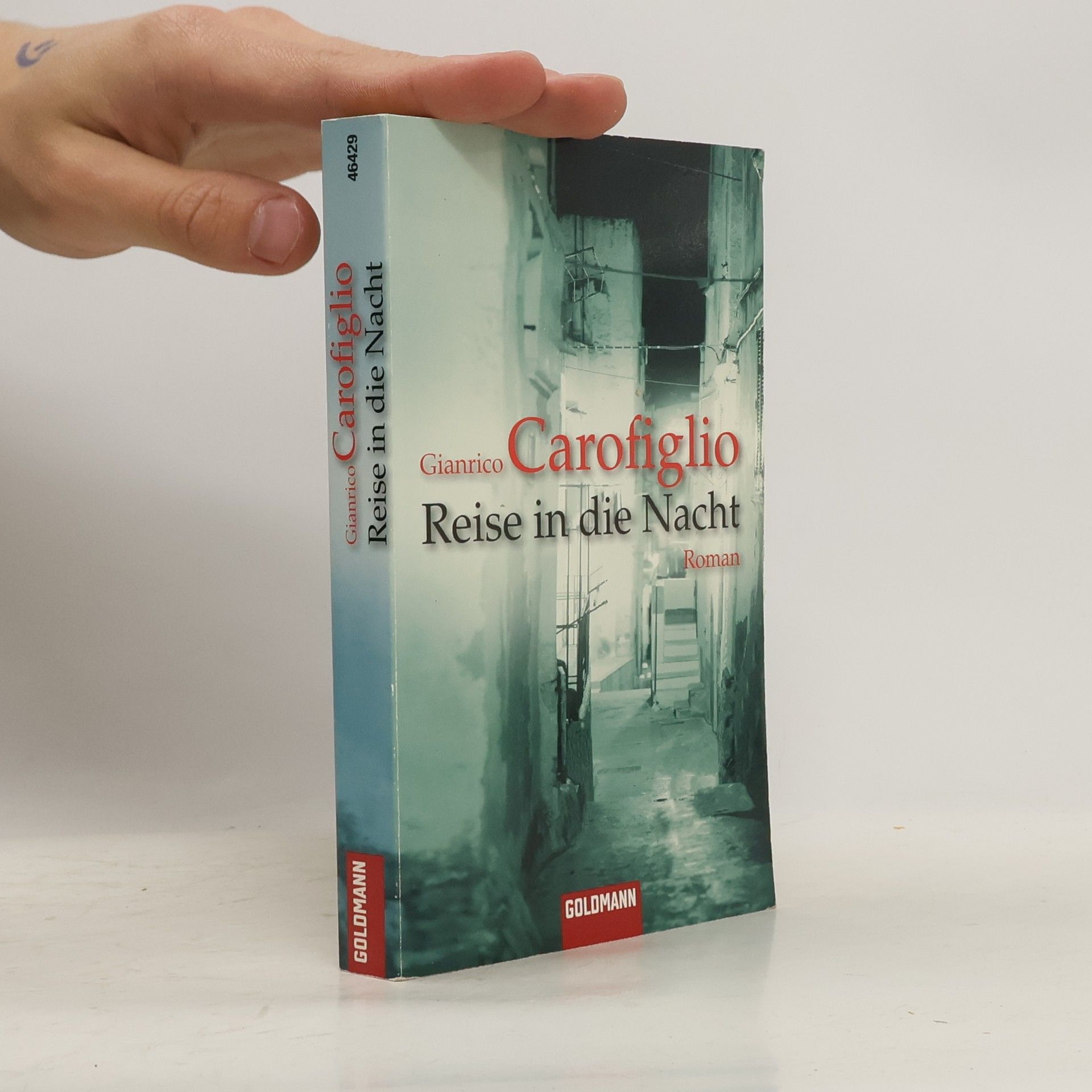 Gianrico Carofiglio Reise in die Nacht