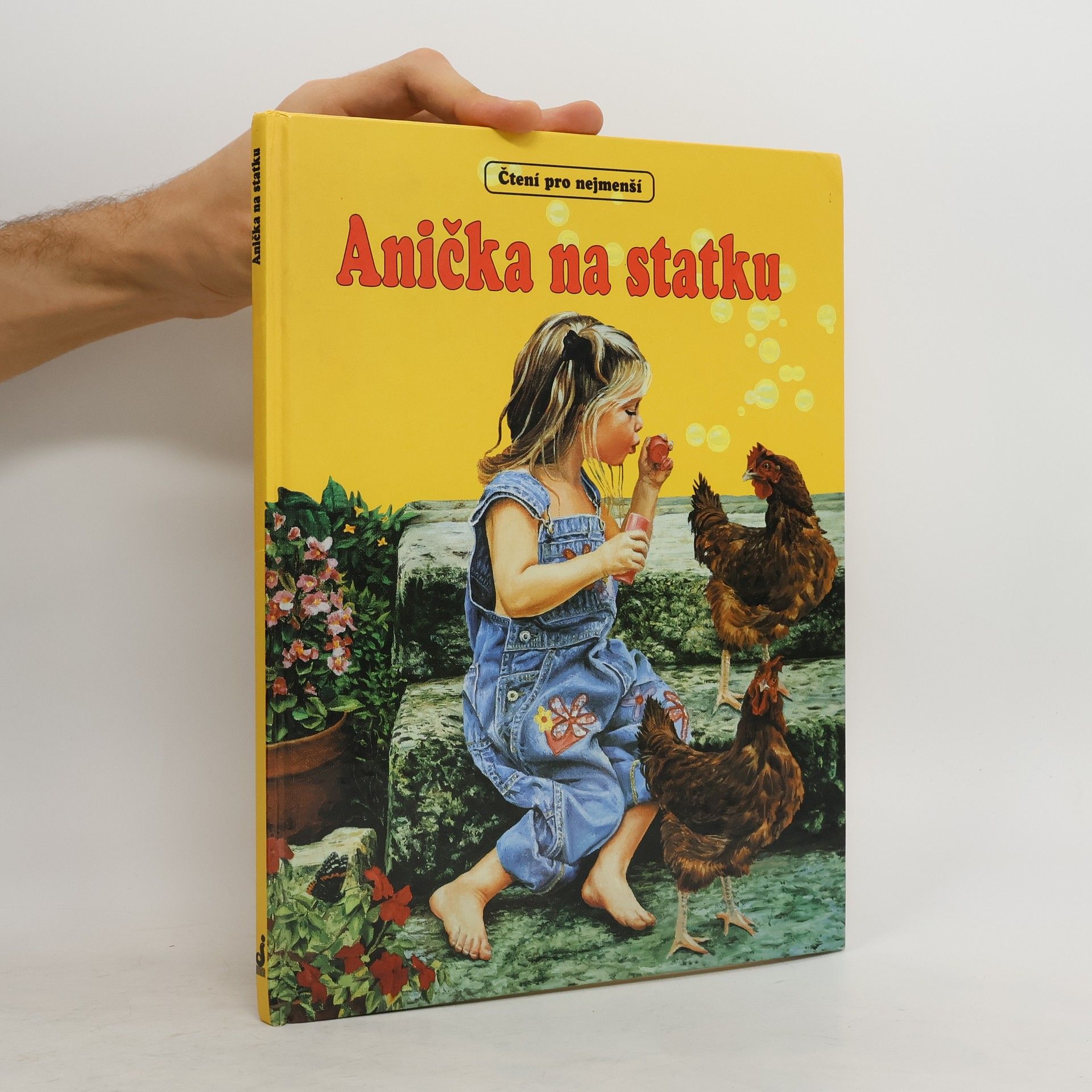 AA.VV. Anička na statku