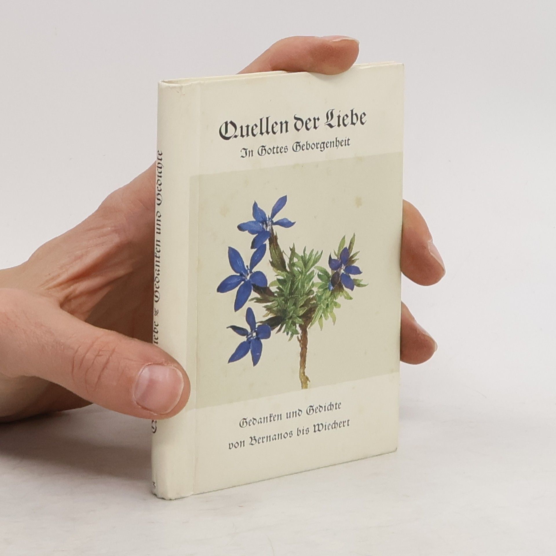 kolektiv Quellen der Liebe. In Gottes Geborgenheit