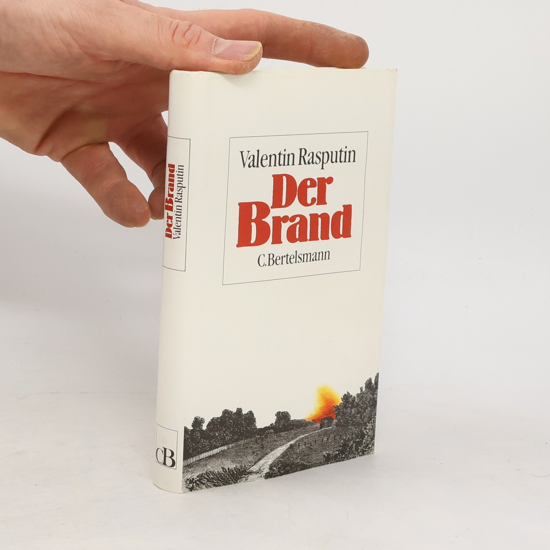 Valentin Rasputin Der Brand